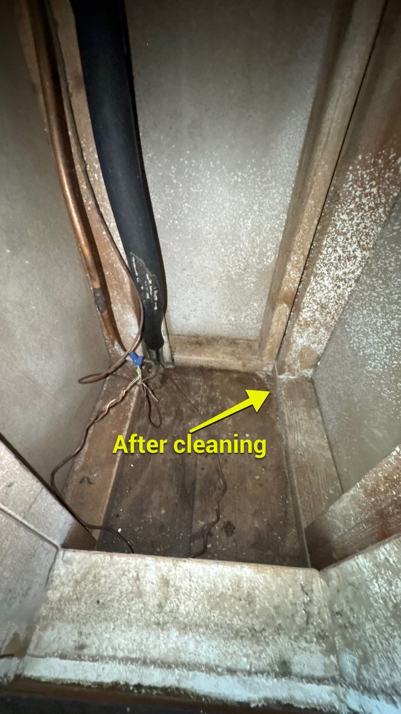 Extremely Dirty Air Duct Cleaning in Fruitland Park by Hygienic Air, Inc