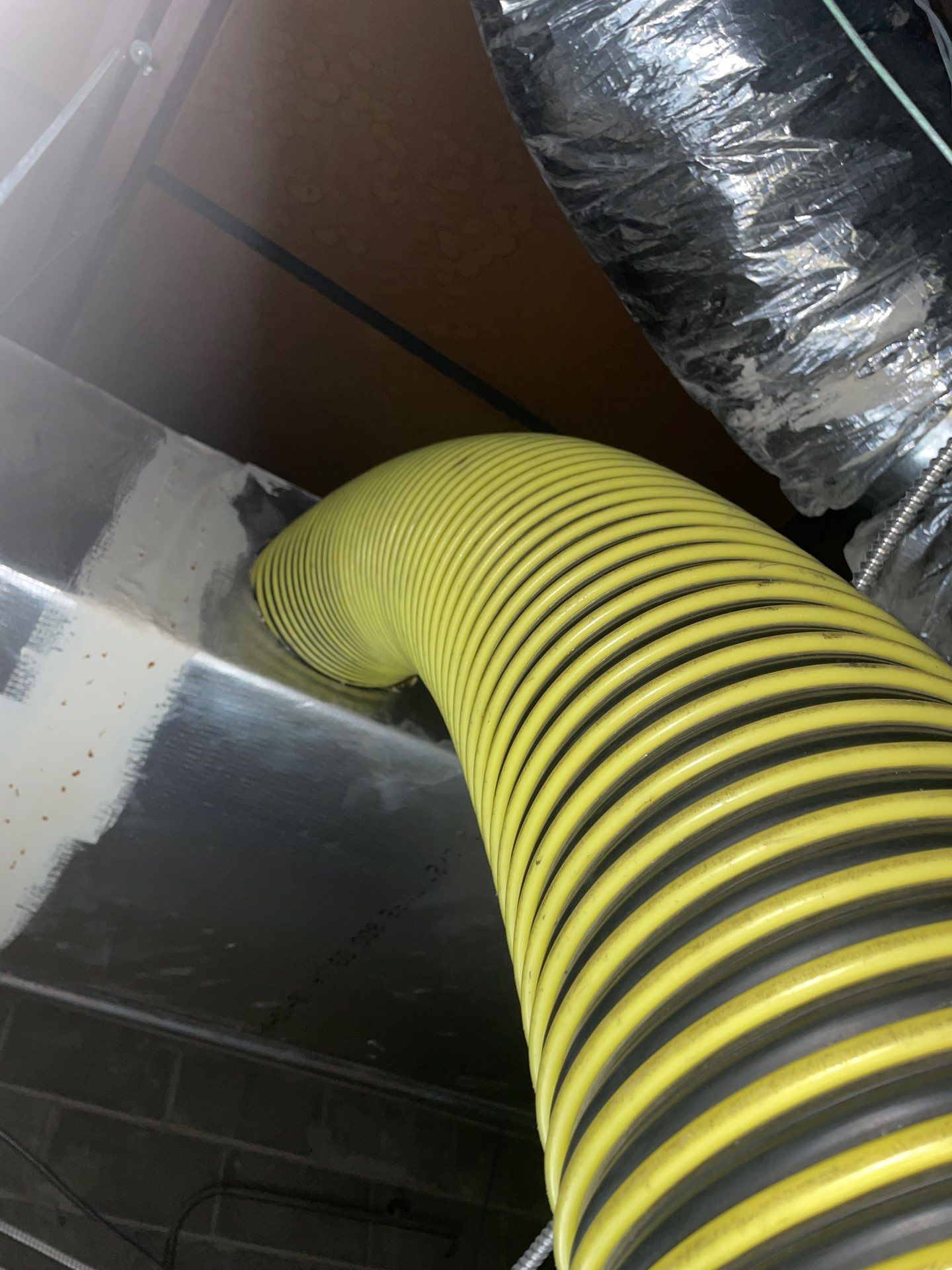 Air Duct Cleaning in Orlando by Hygienic Air, Inc