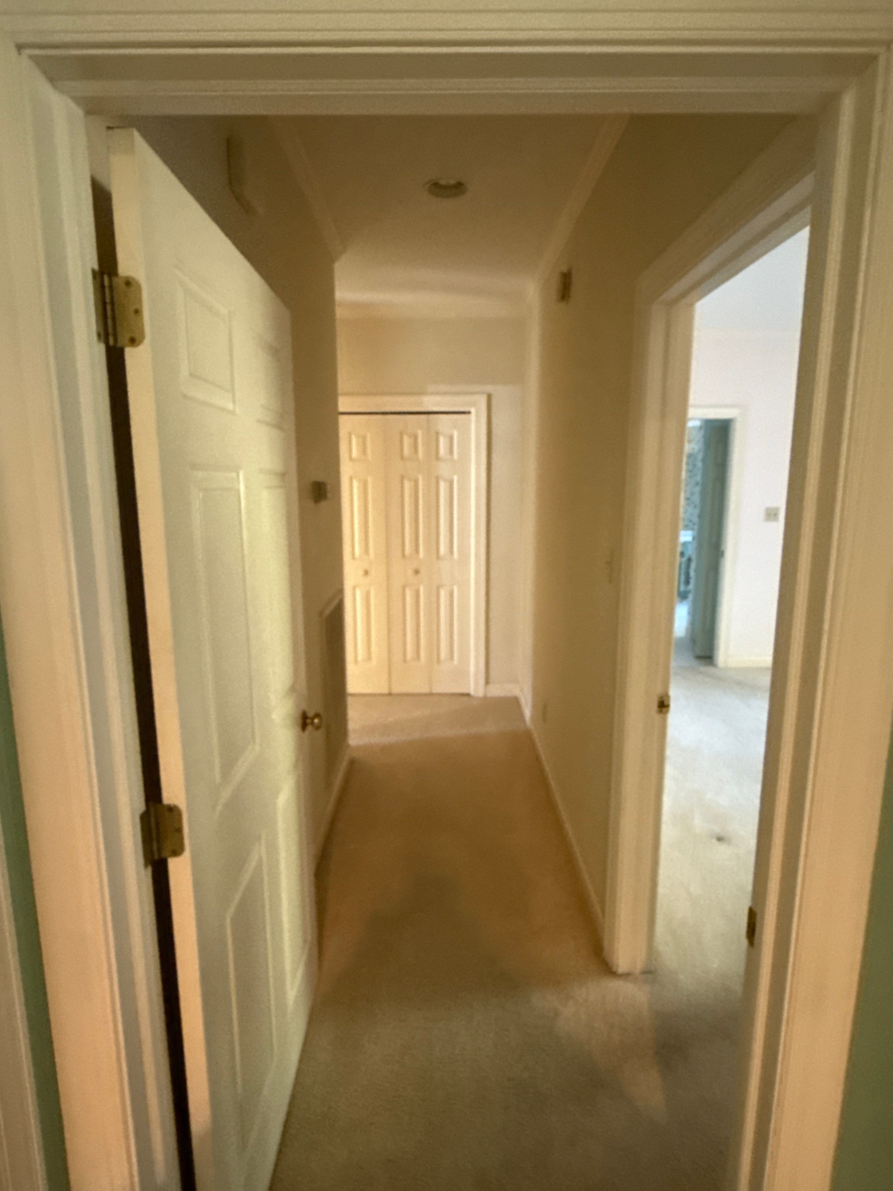 Sleepy Terrapin by TC Construction LLC