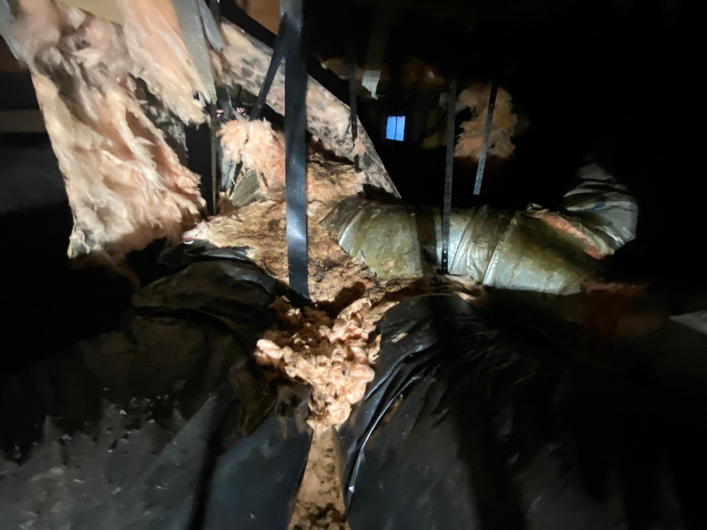 Crawlspace Transformation by Hausmeister Home Services INC