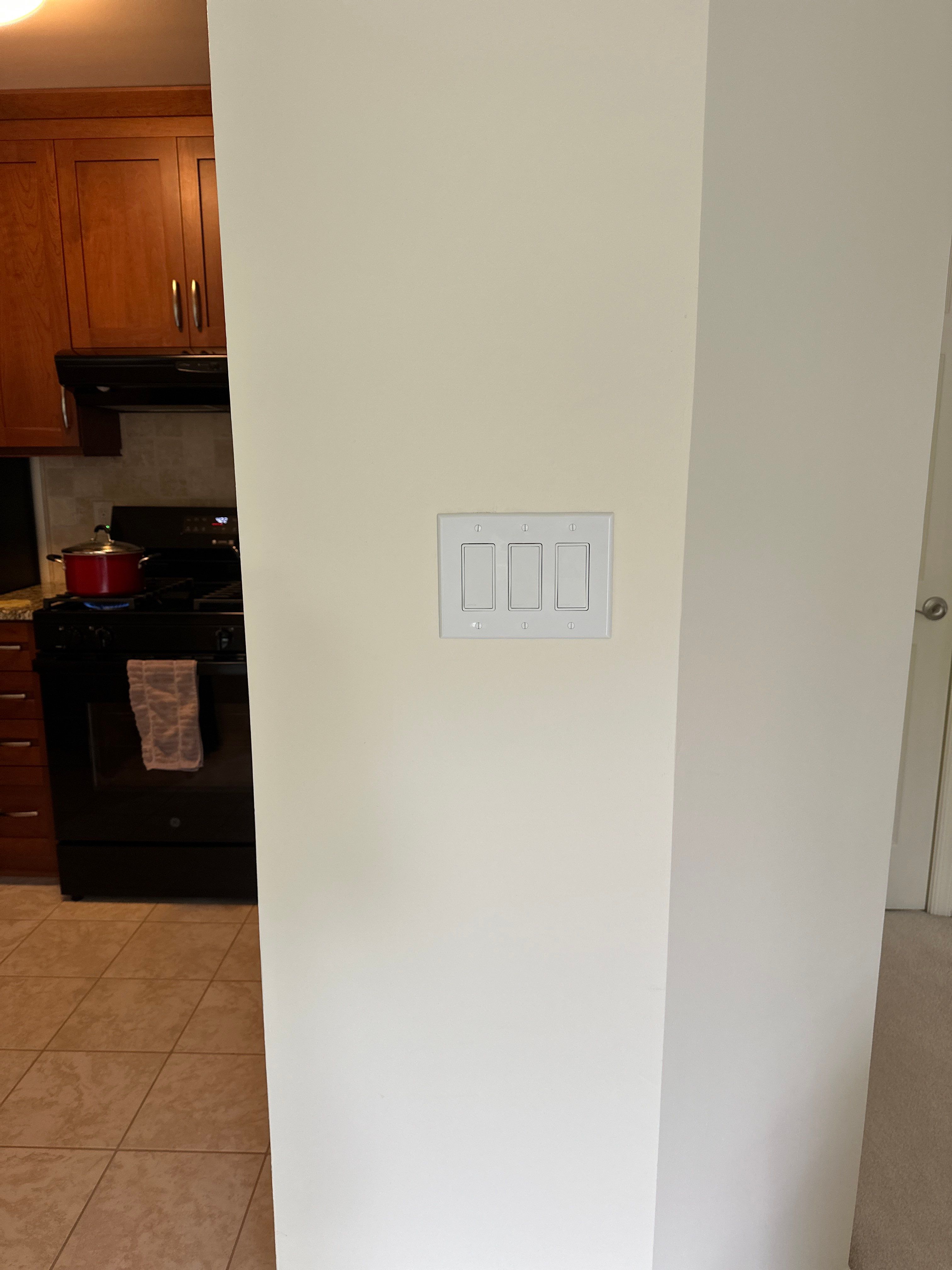 New Switches & Exterior Lantern by Spartan Home Pros