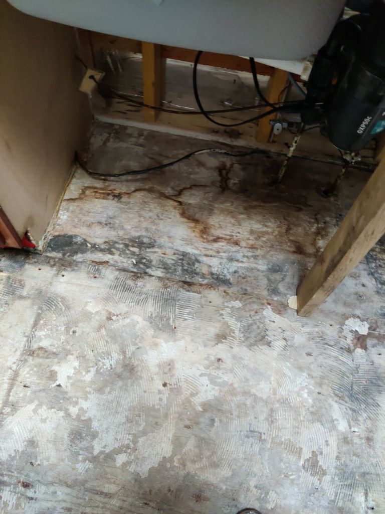 Mold Remediation using Containment by Accountable Home Services