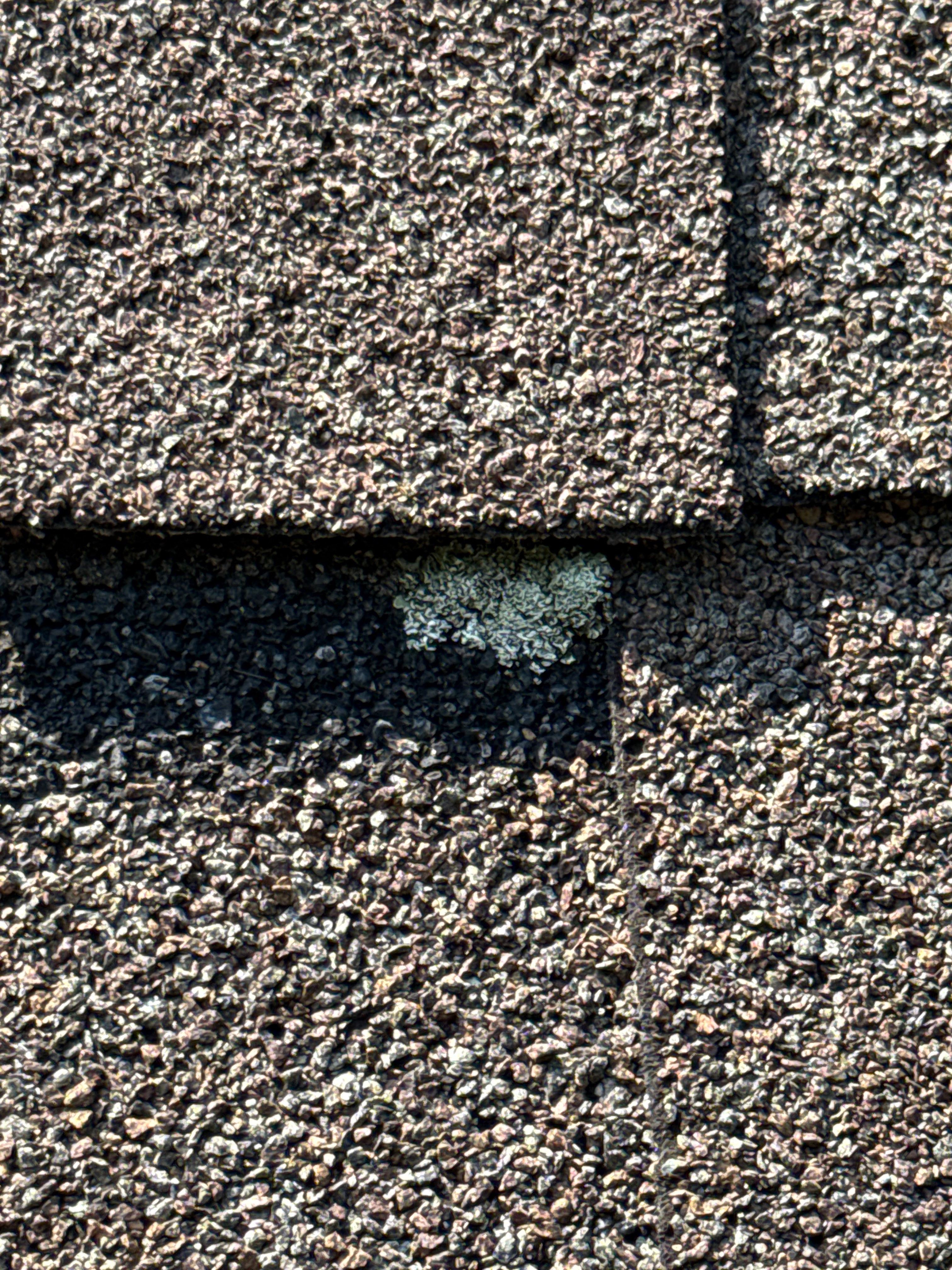 Asphalt Shingle Roof Cleaning and Pipe Boot Repair in Lake Lure by Bright Home Connections