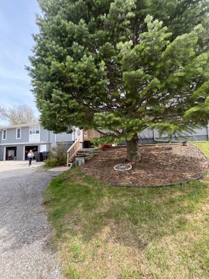 Project in Neola