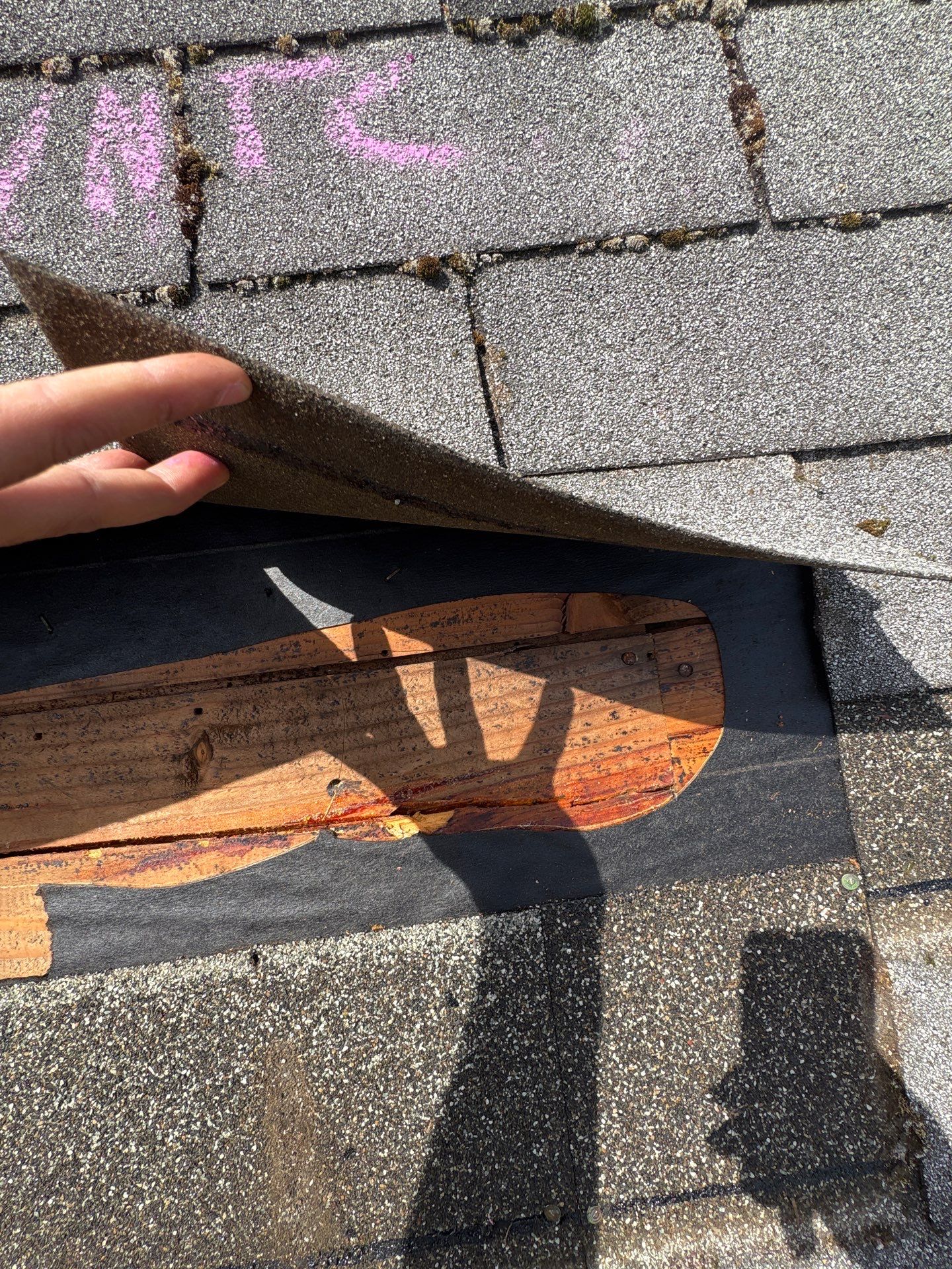 GAF Timberline NS, Charcoal, House and Garage Roof Replacement  by Proline Roofing & Restoration LLC