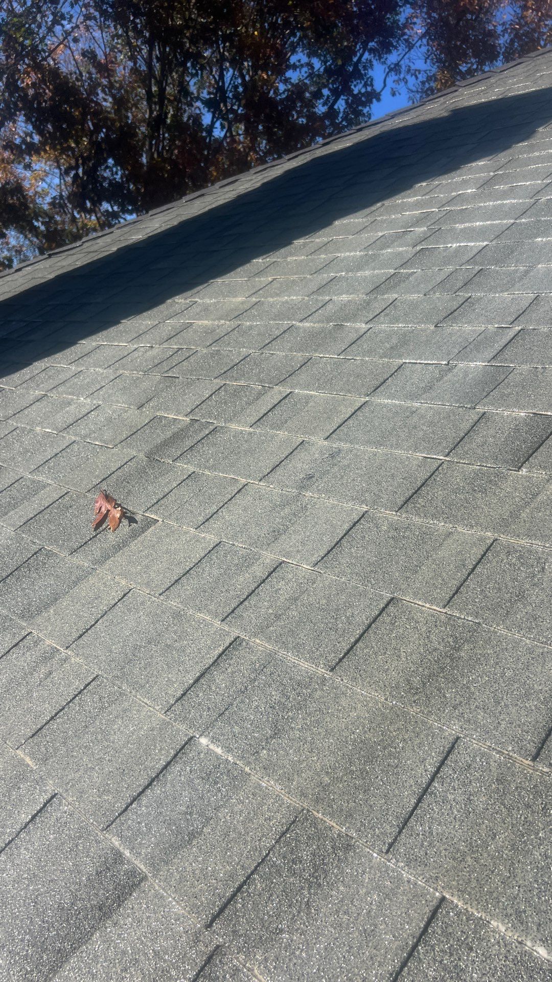 Project in Chester by Roof Maxx of Midlothian