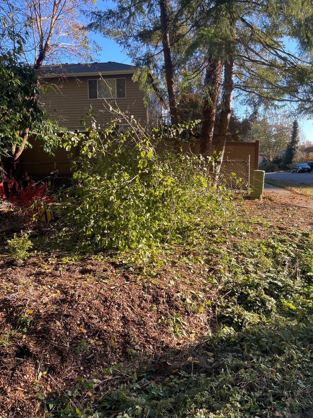 Tree Removal using Tree Removal by Mike Jones & Sons Tree Service LLC 