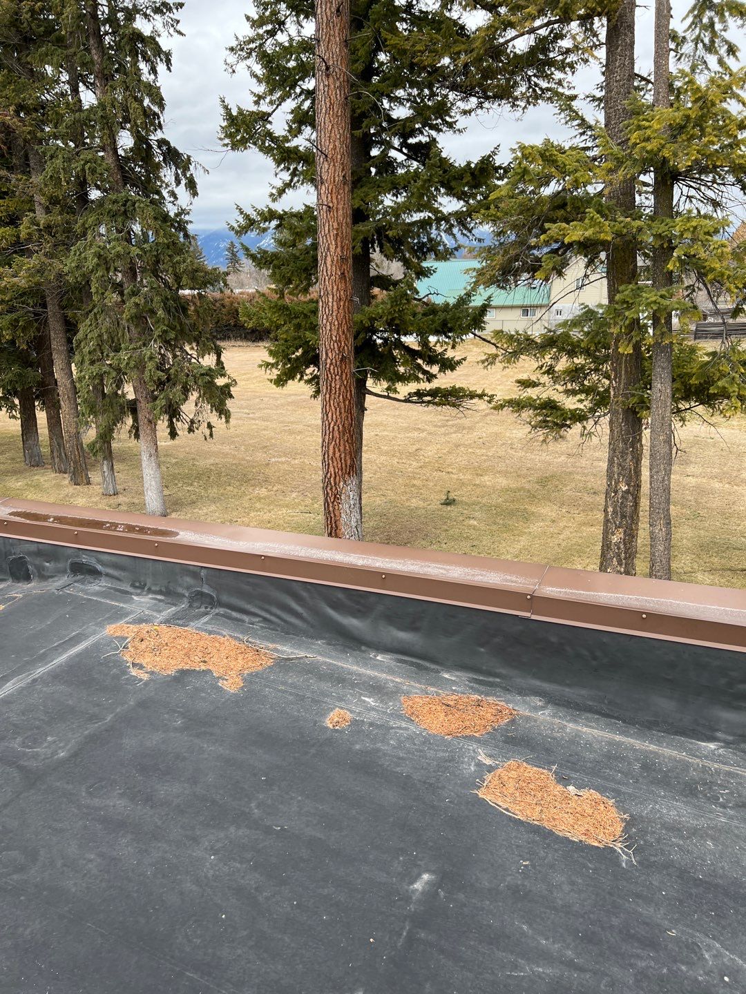 GAF Timberline HDZ - Charcoal by Montana Roofing Solutions