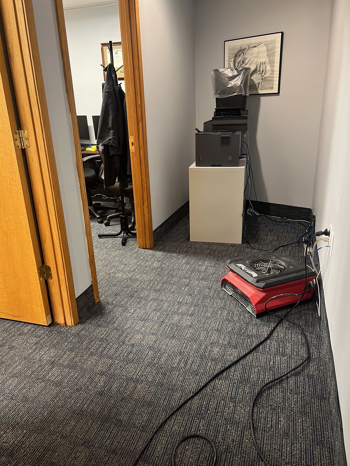 Project in Southfield by EzDry Water Mitigation & Property Restoration