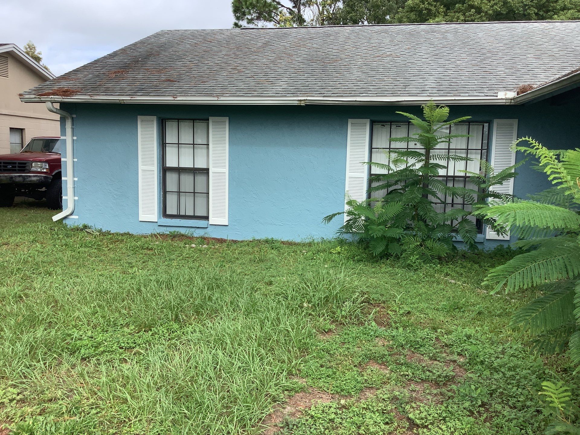 Professional Gutter Cleaning  by Gutter Professors