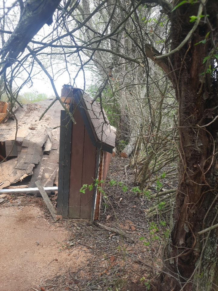 Tree Damage using Tree Removal by Mike Jones & Sons Tree Service LLC 