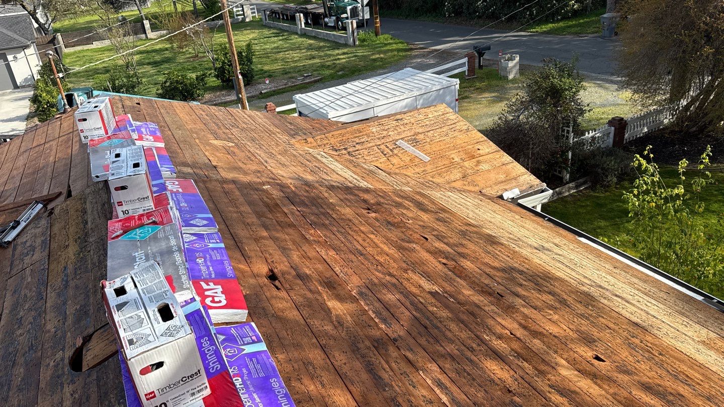 Willa Holmstock by NuLead Construction Inc