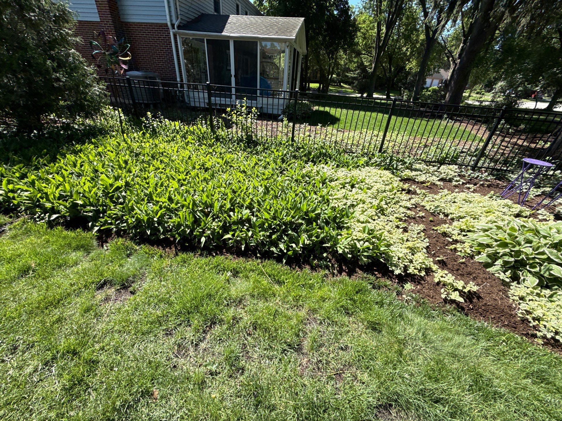 Lesley D. - Arlington Heights, IL by A&N 