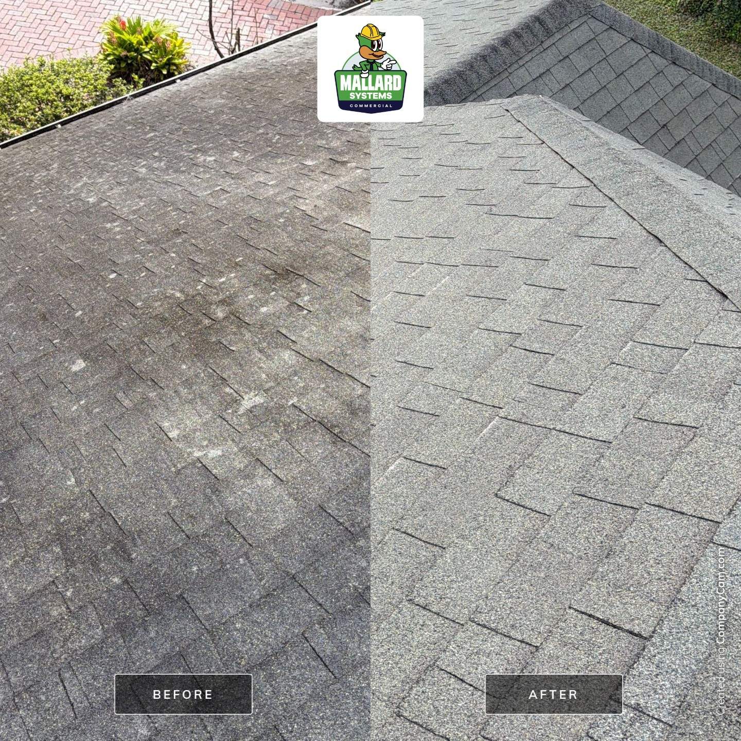Shingle Roof Cleaning and Debris Removal in Winter Park by Mallard Systems