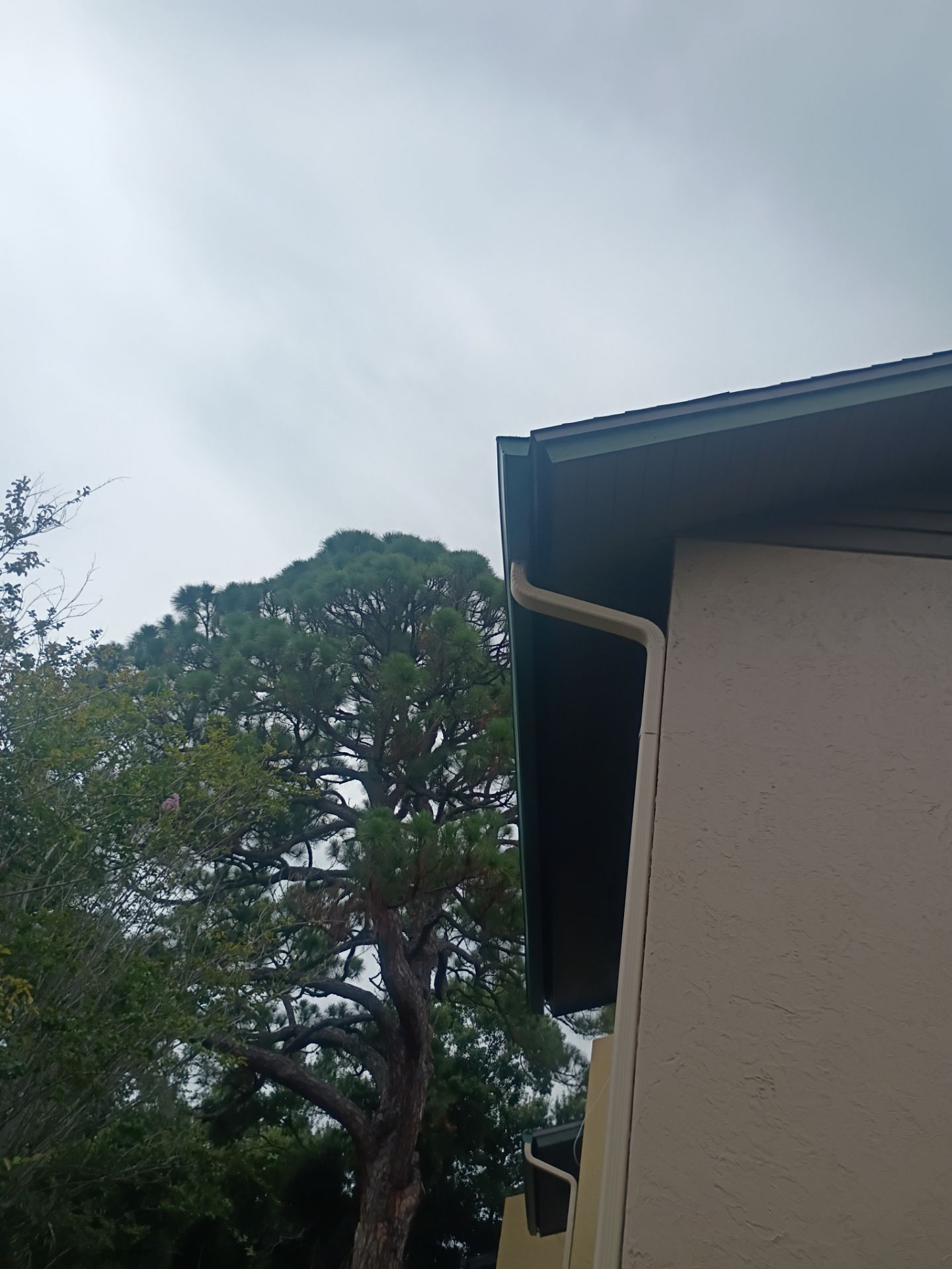 Leaf Guard using Gutter Guards & 3X4Downspoutsts in Sarasota FL by Gutter Professors