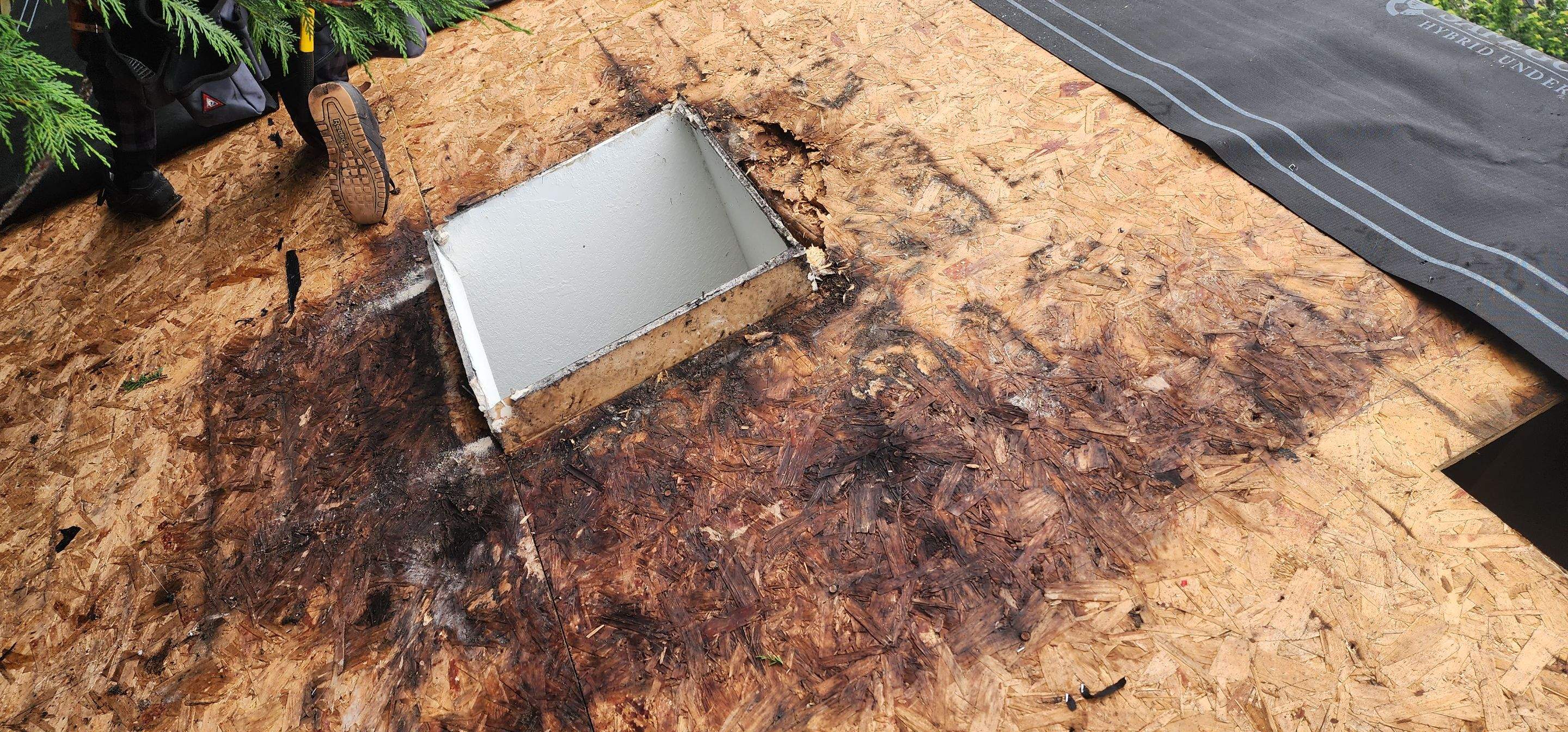 Lincoln Ave for Muzzy by RoofWorks Northwest