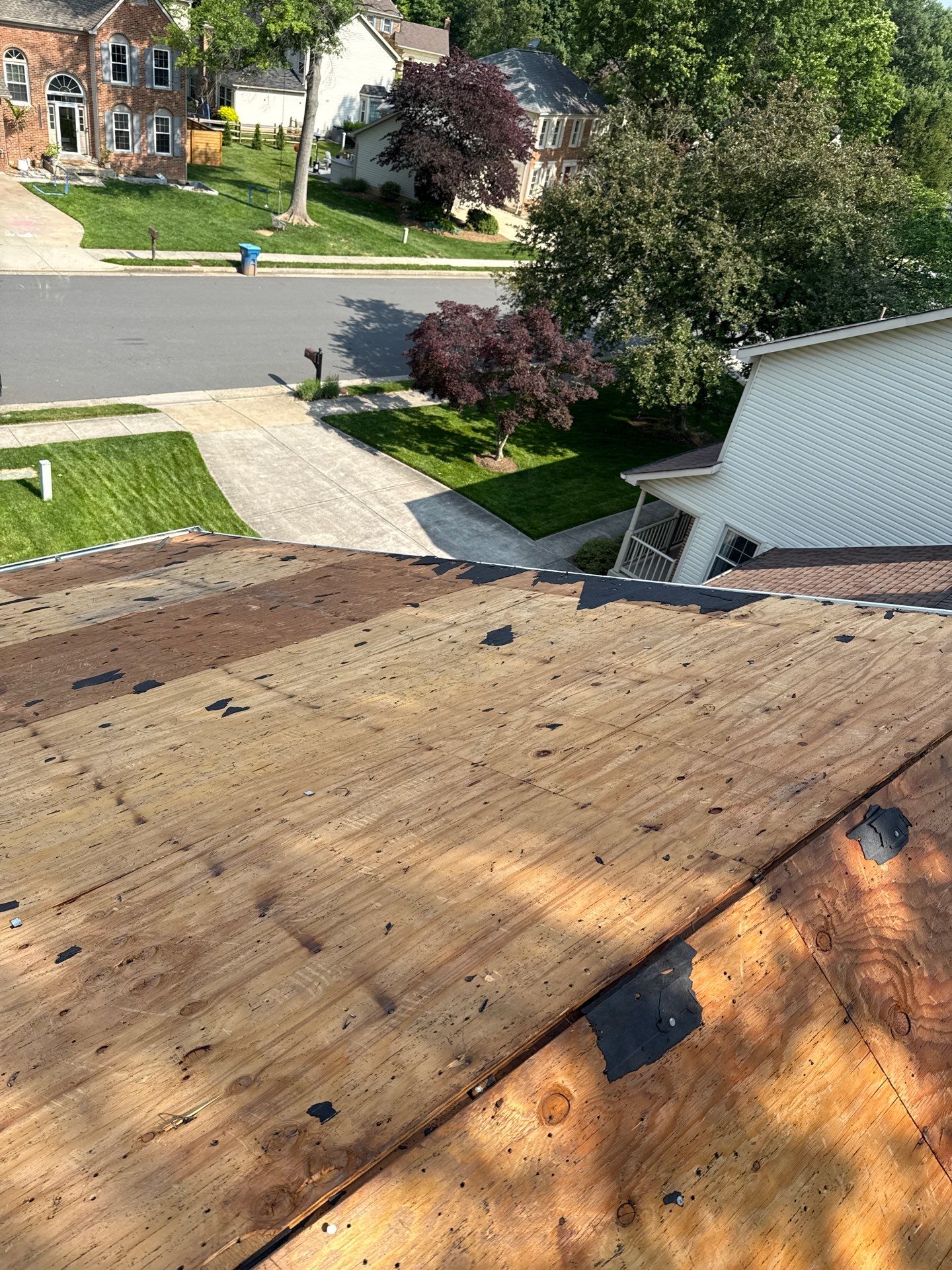 Burke: Residential Roof Replacement with CertainTeed Landmark PRO in Max Def Cobblestone Gray by RM Banning, Inc.