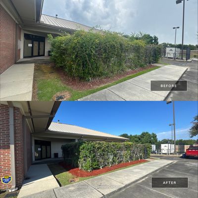 COMMERCIAL: BED CLEAN / MULCH INSTALL 