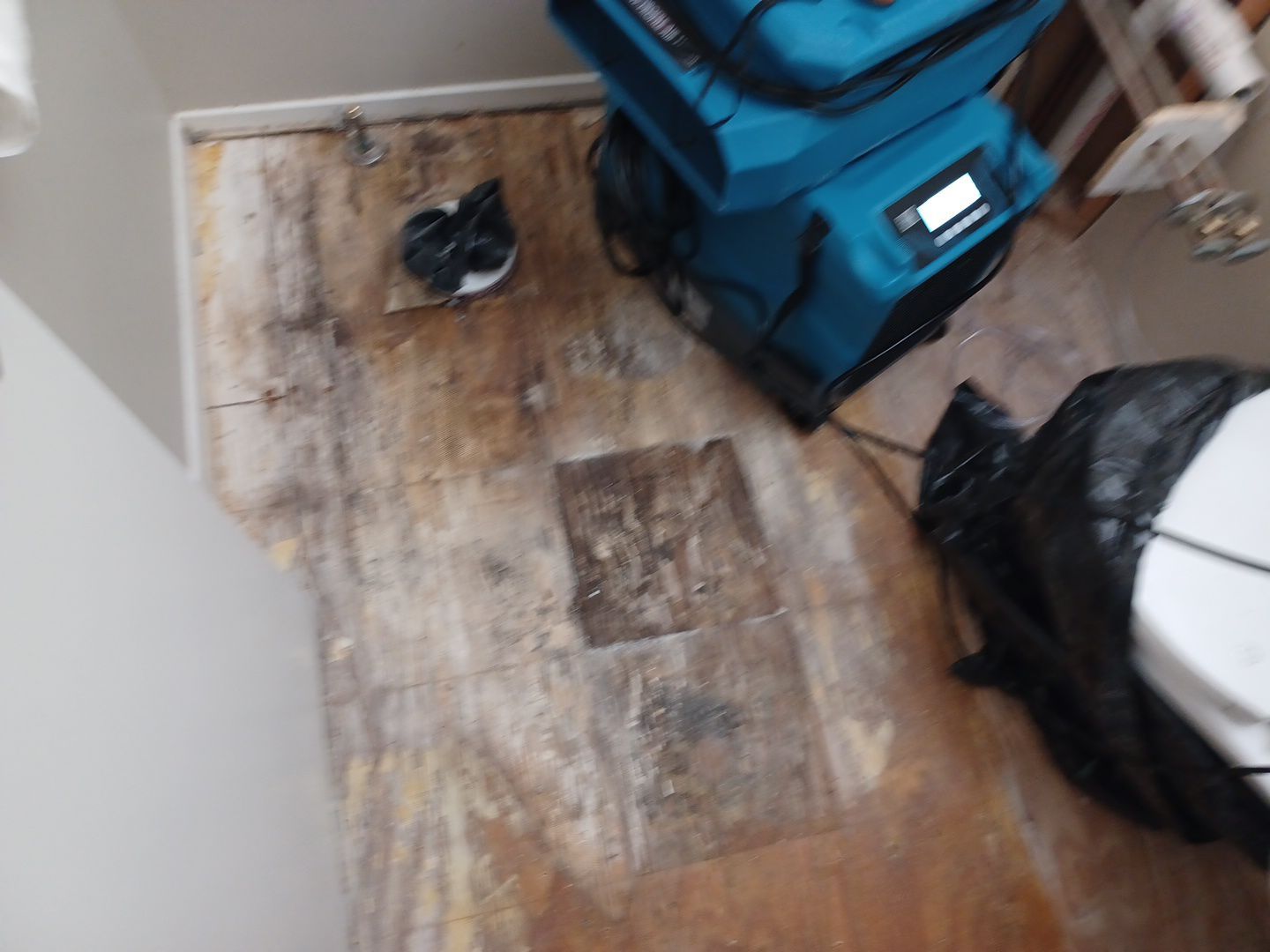 Project in West Bloomfield Township by EzDry Water Mitigation & Property Restoration