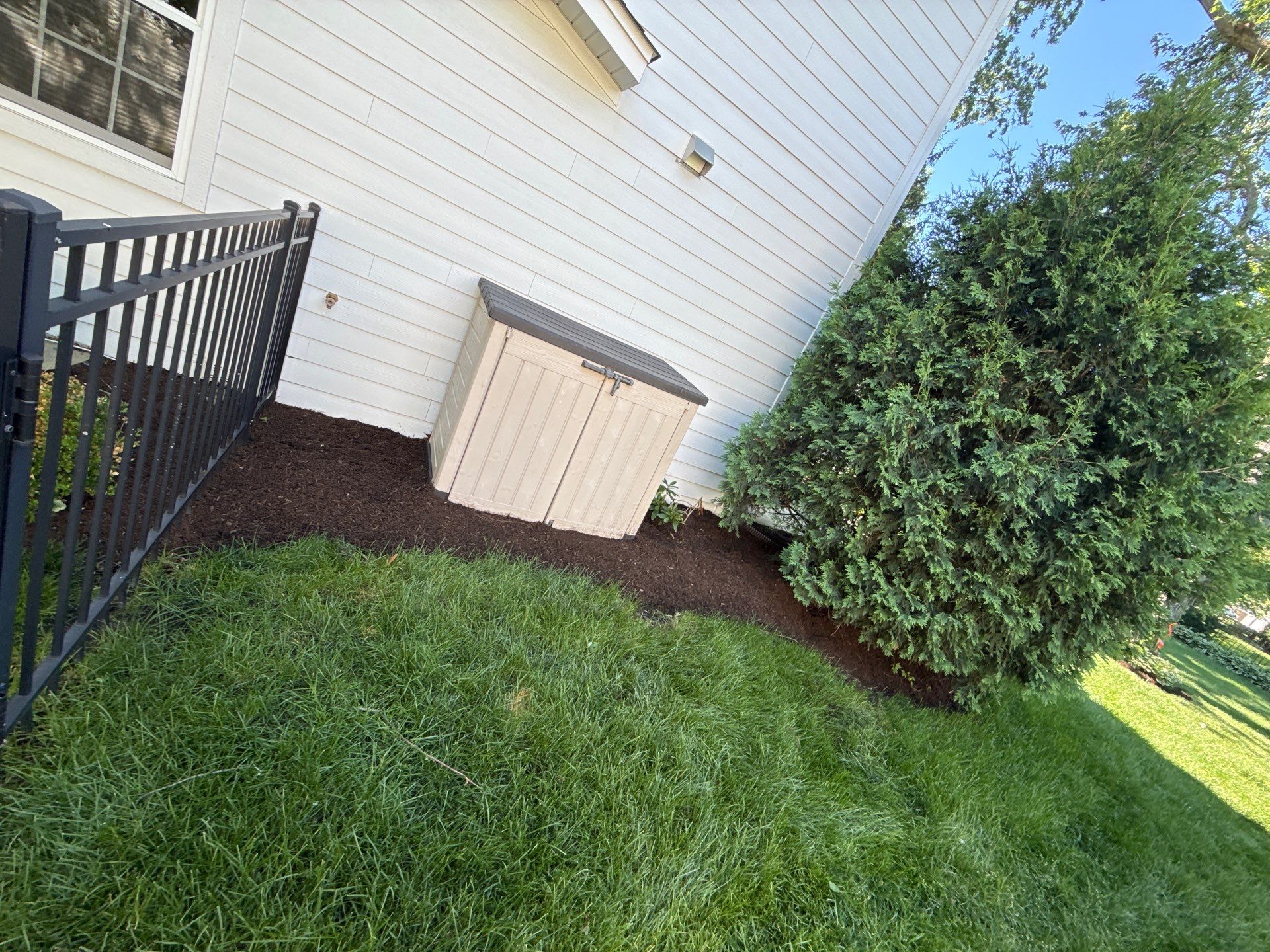 Lesley D. - Arlington Heights, IL by A&N 