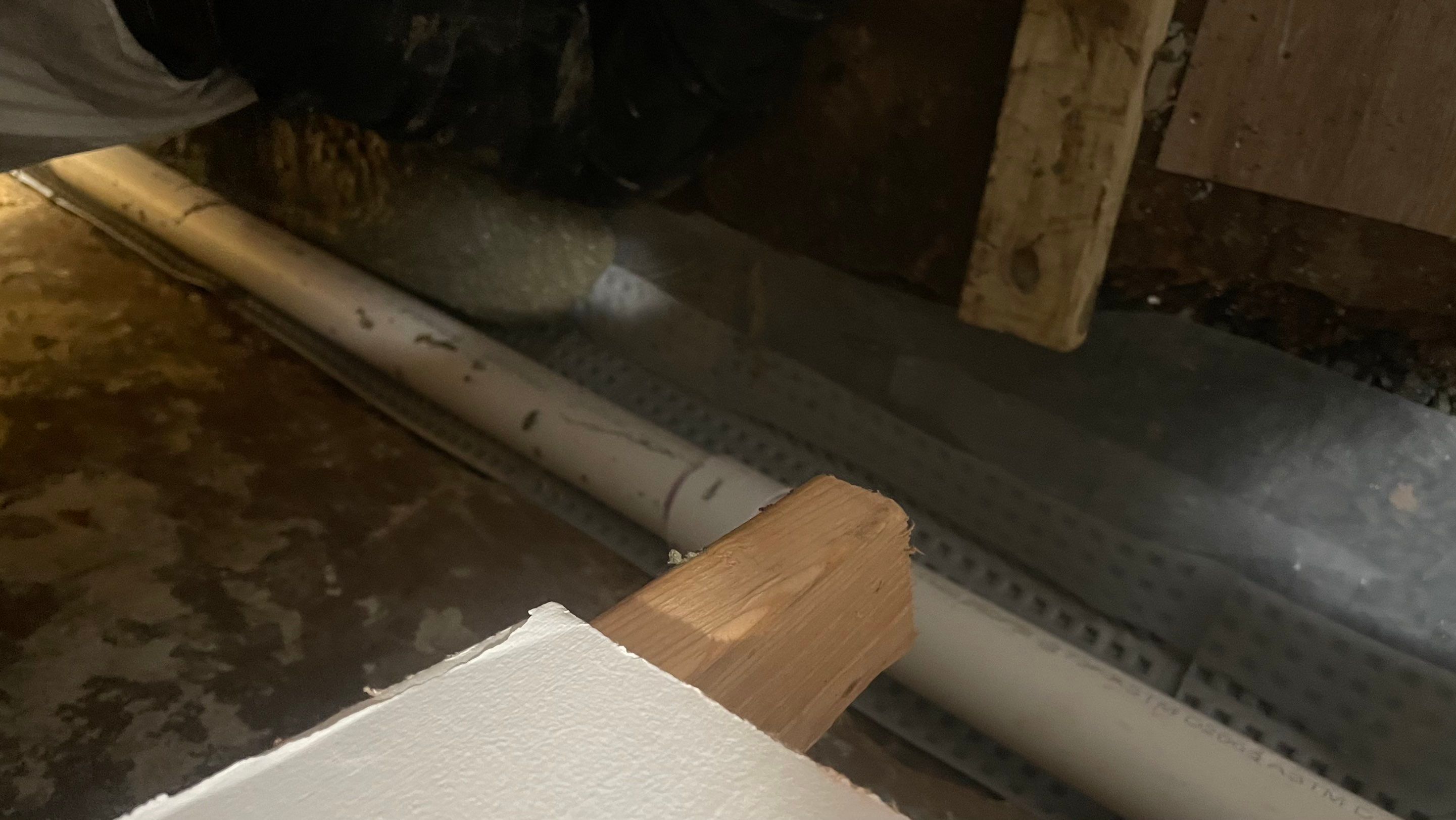 Interior French Drain Job in Lyndhurst, NJ by Pure Service Pro, LLC 