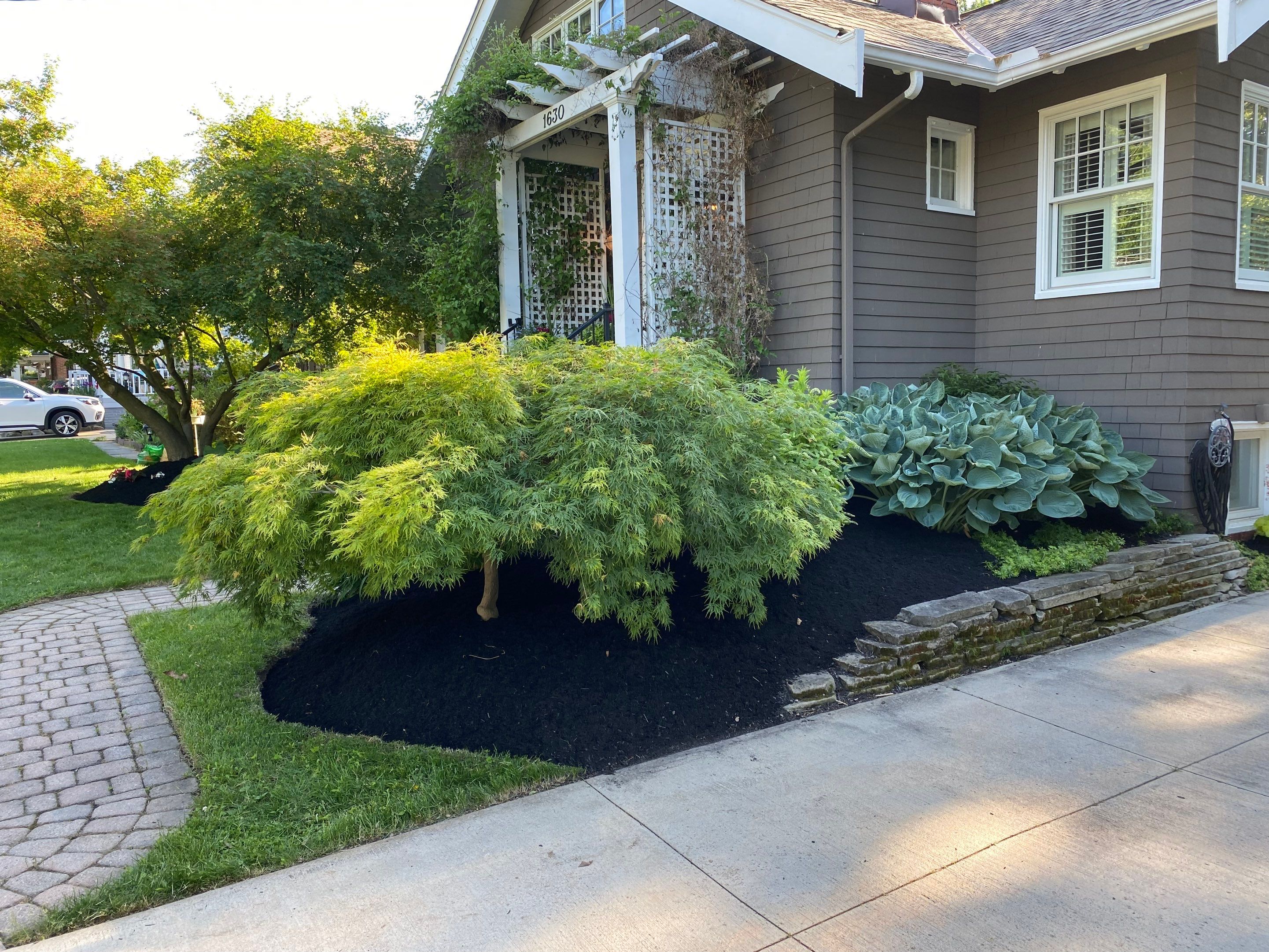 Pollinator Paradise Project by Elm Rose Gardens