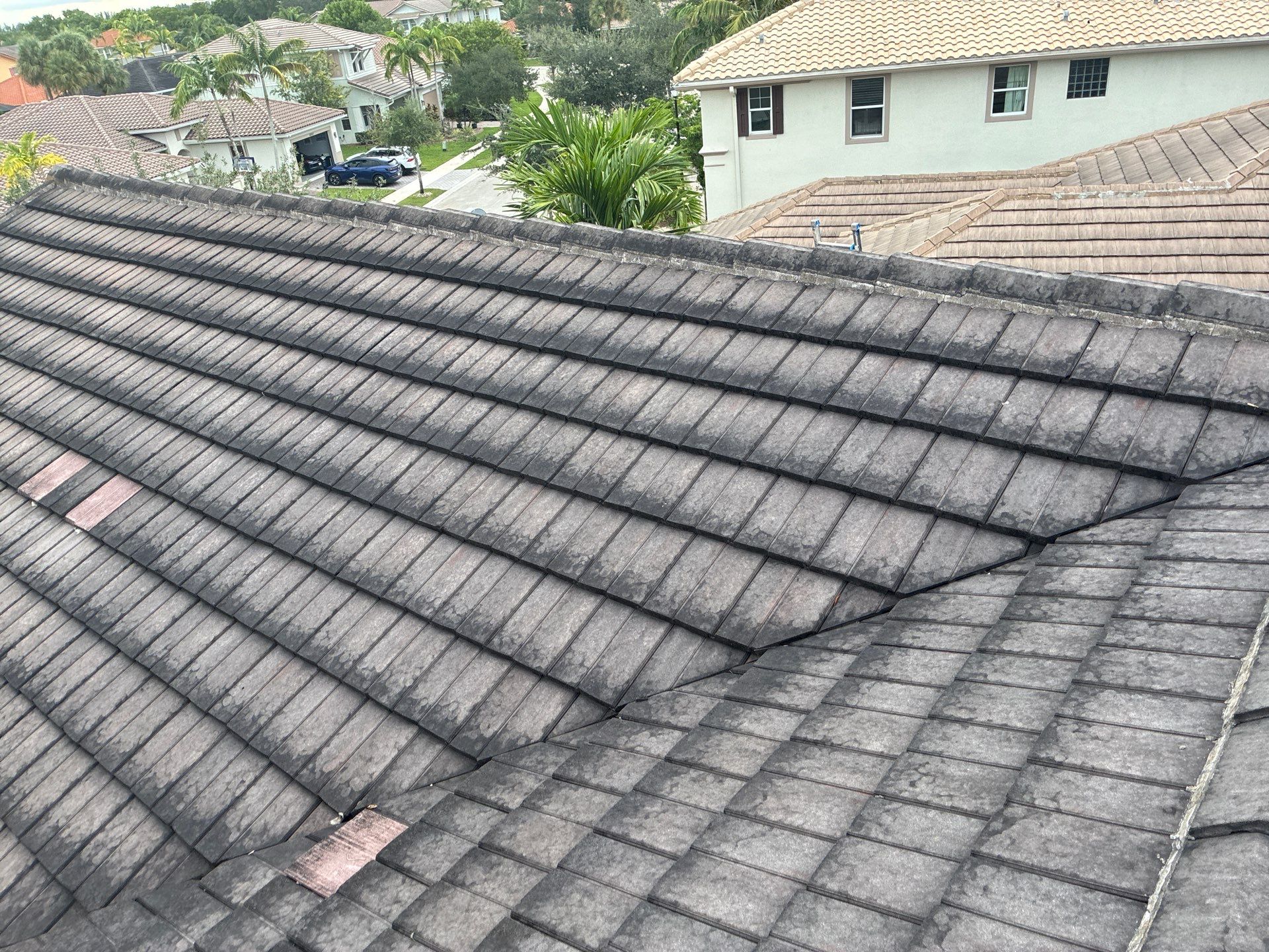 Heron Bay Parkland Painting by BKB Pressure Cleaning LLC