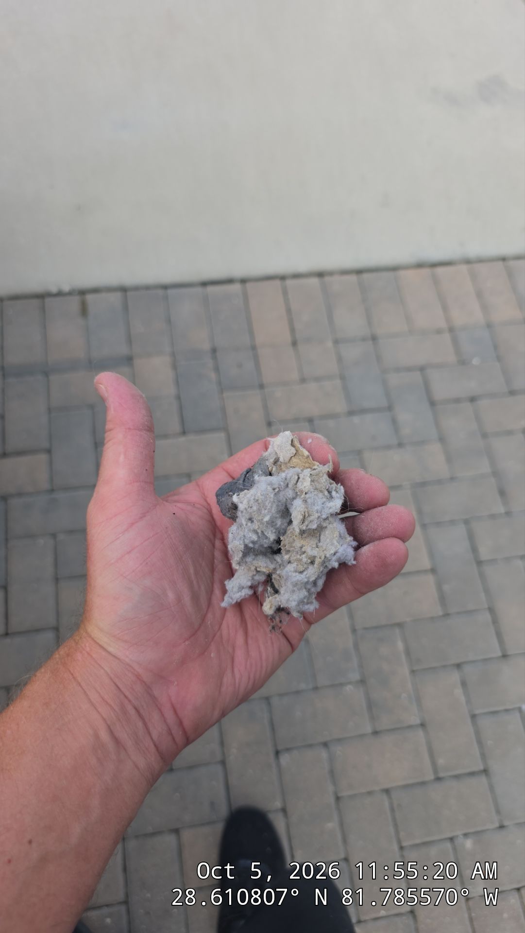 Dryer Vent Cleaning & Outlet Velocity Check in Groveland by Hygienic Air, Inc