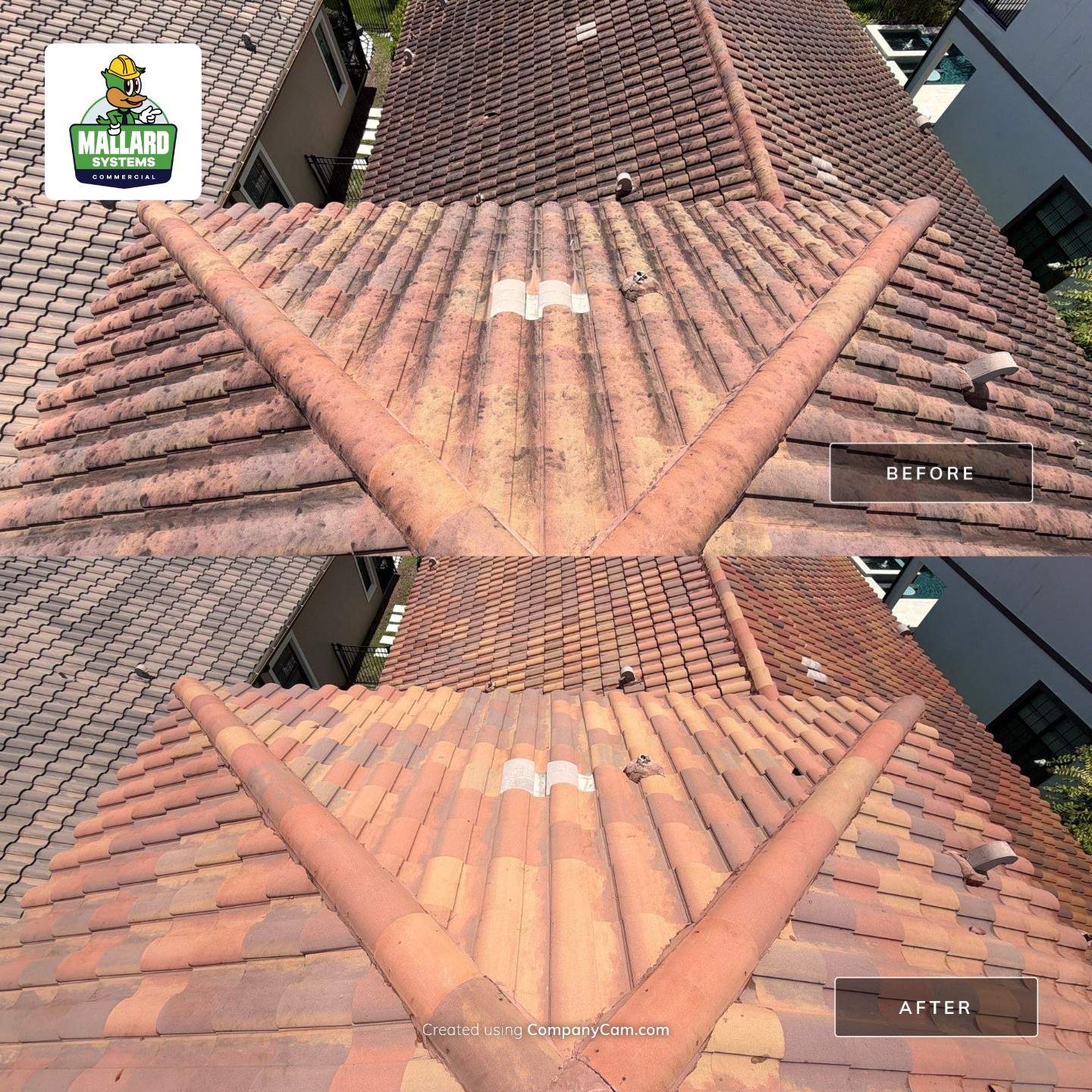 Residential Exterior House Wash and Tile Roof Maintenance in Orlando by Mallard Systems