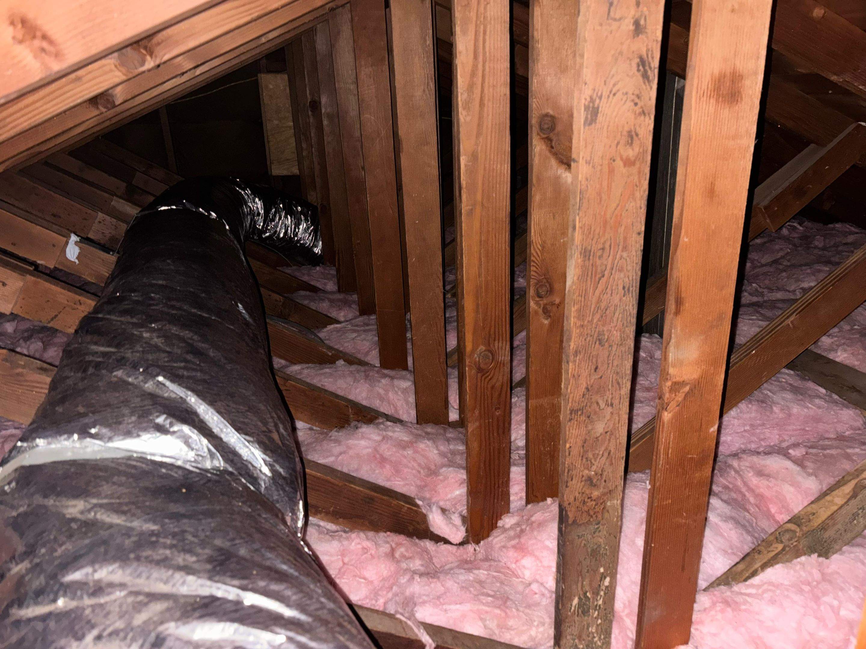 Project in Inglewood by Insulation Labs