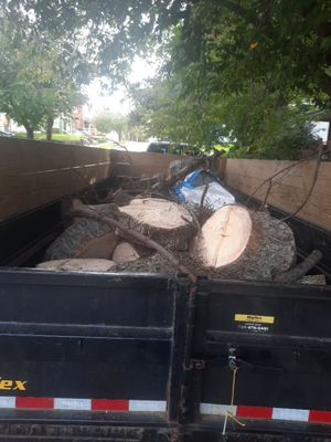 Tree Removal using Tree Removal