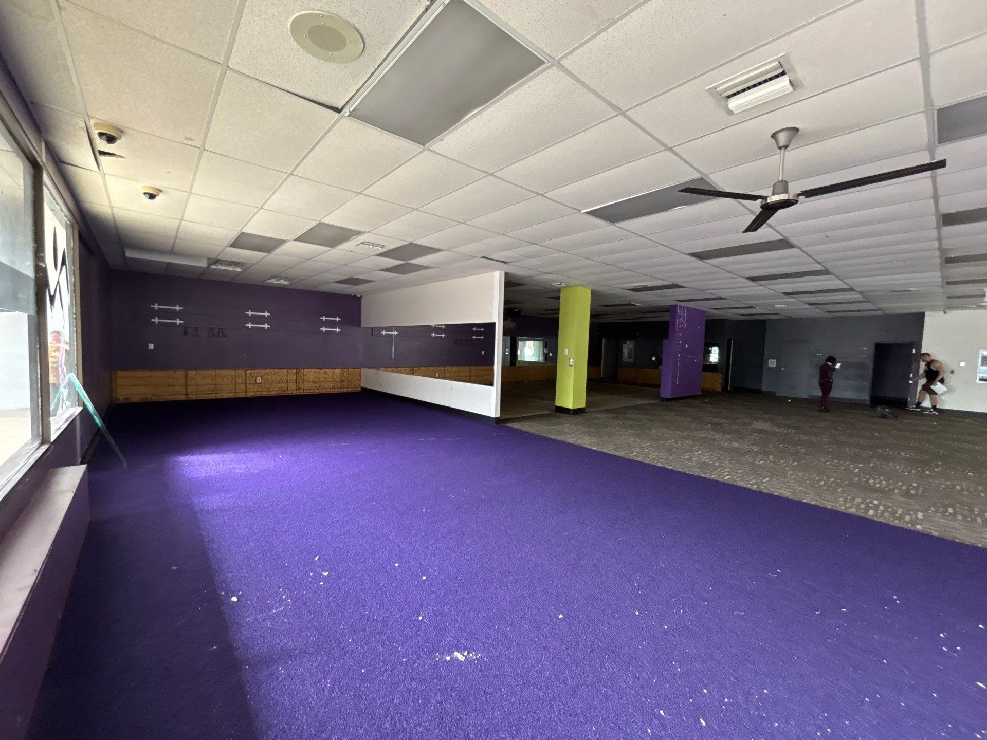 Natural Bodyz Fitness by AKK Painting LLC