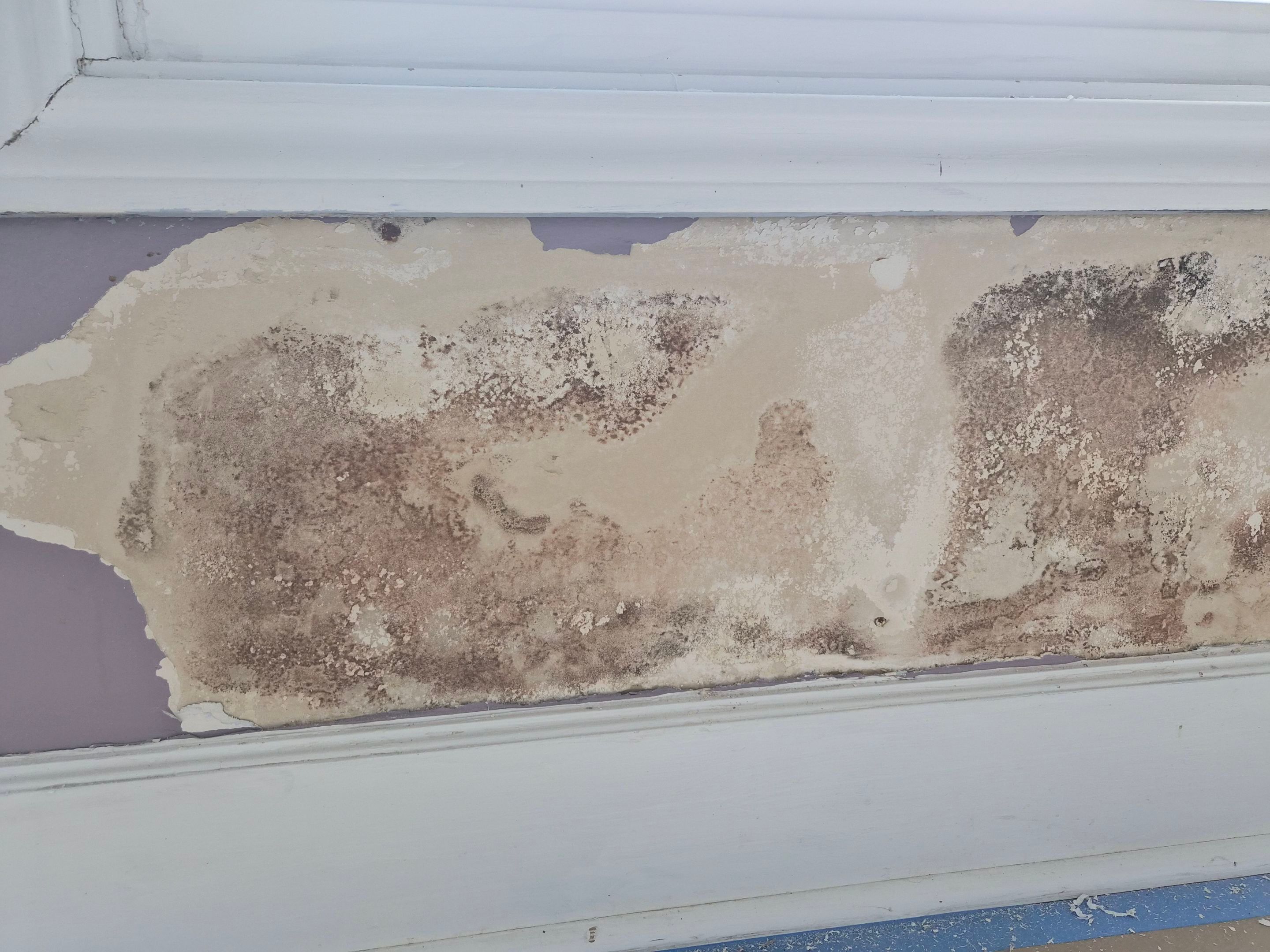 Extensive Interior Repair & Repaint in Tyler TX by Quality Coats Painting