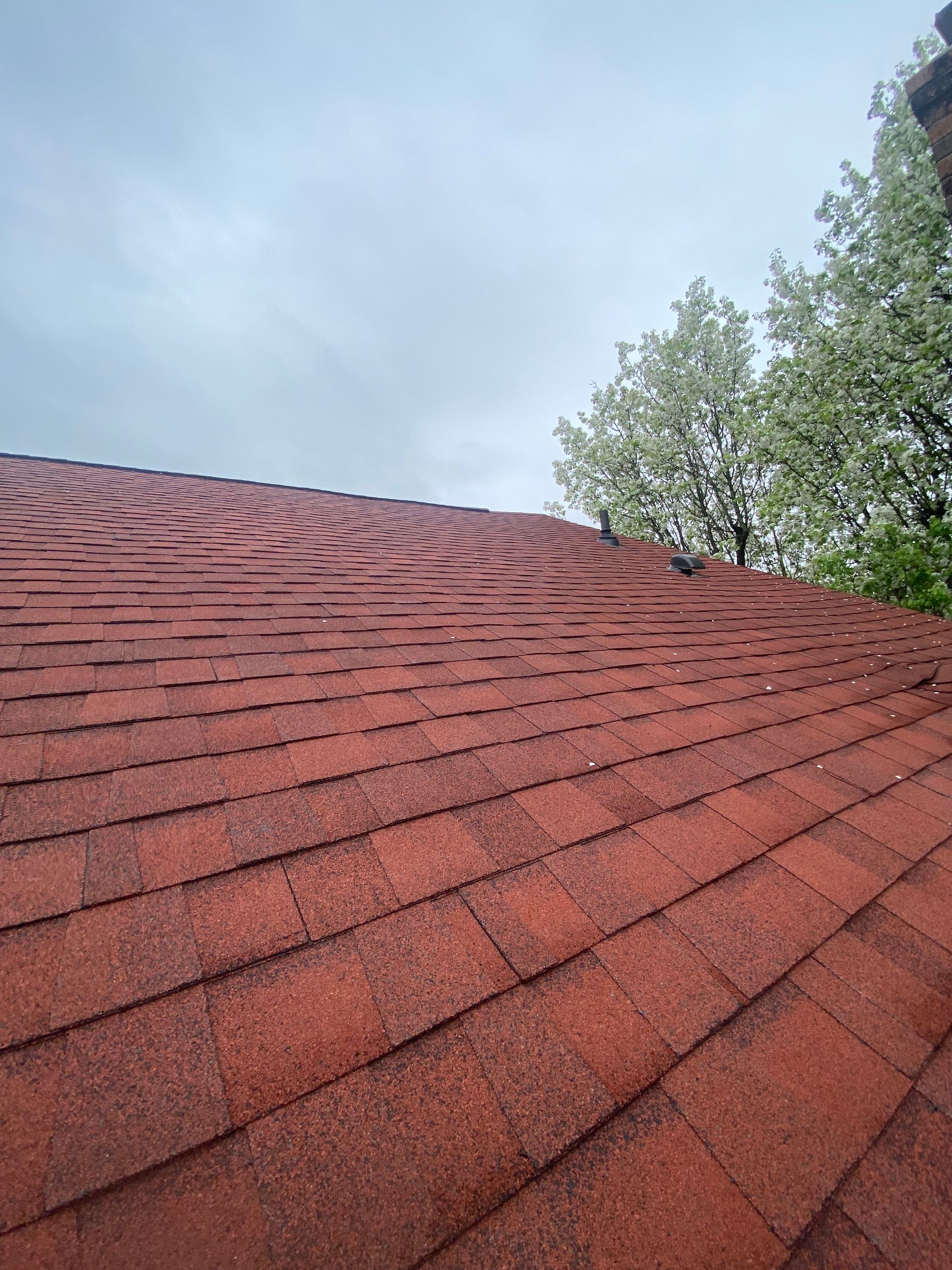 Springfield: Residential Roof Replacement with CertainTeed Landmark Pro in Max Def Red Oak by RM Banning, Inc.