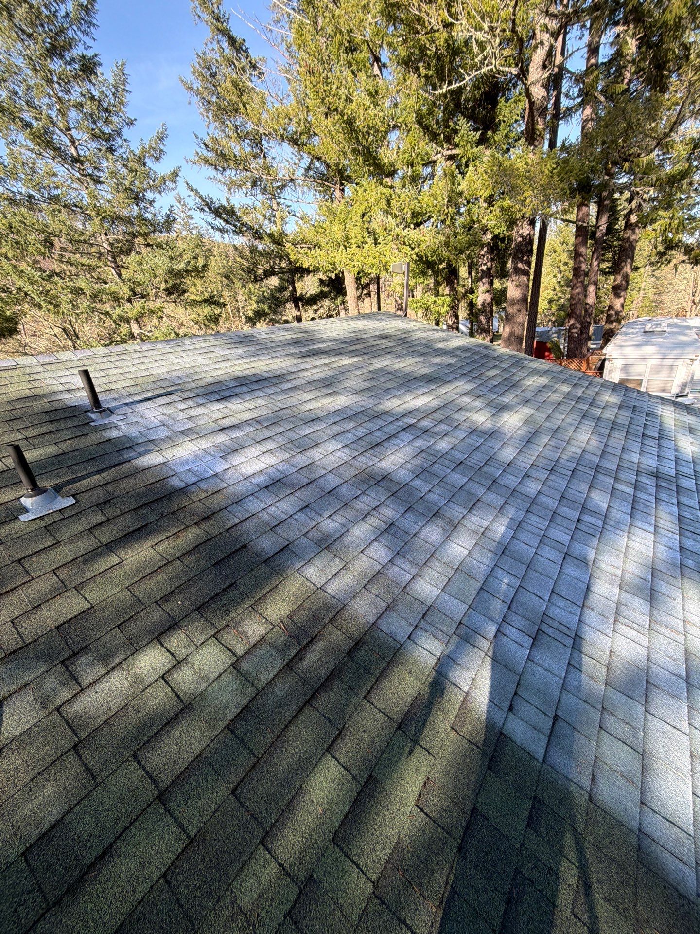 Project in Selma by Roof Maxx of Grants Pass
