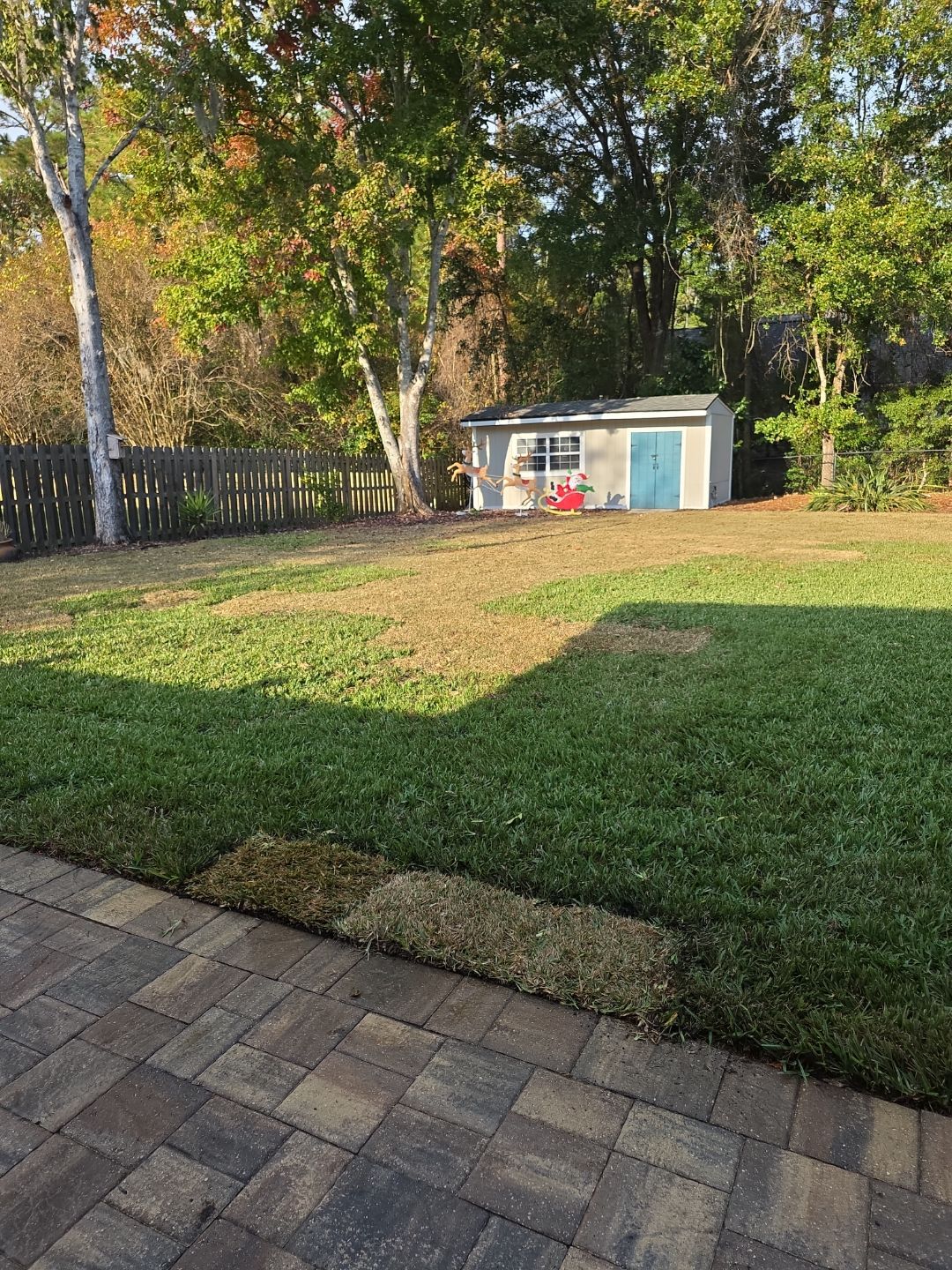 Deerwood Resident | Winter Sod Replacement by ProGreen Services