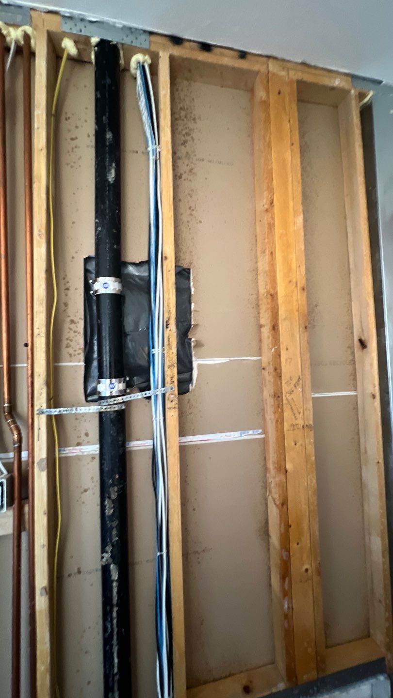 Mold Remediation by Accountable Home Services