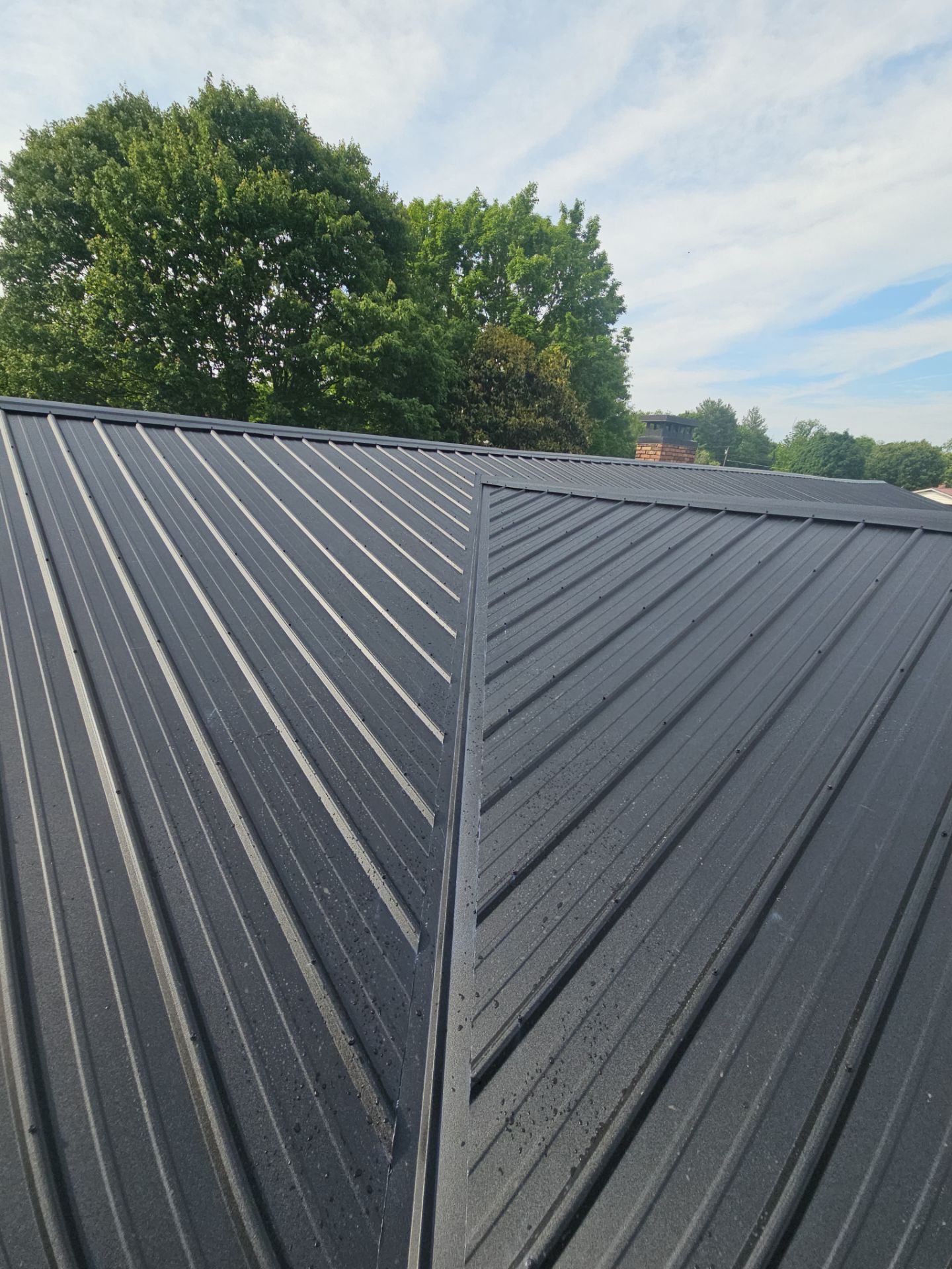 Malone Residence by Omnia Roofing