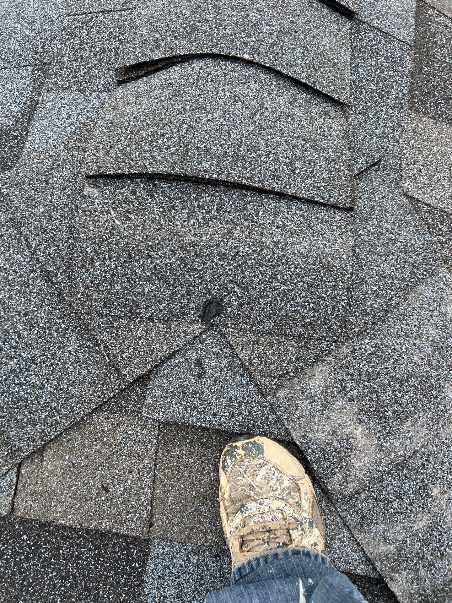 Let My Attic Breathe!!!!! by Bayfront Roofing and Construction