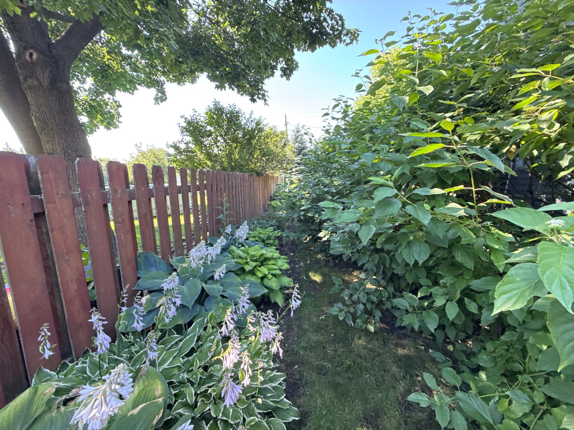 Rob M. - Arlington Heights, IL by A&N 