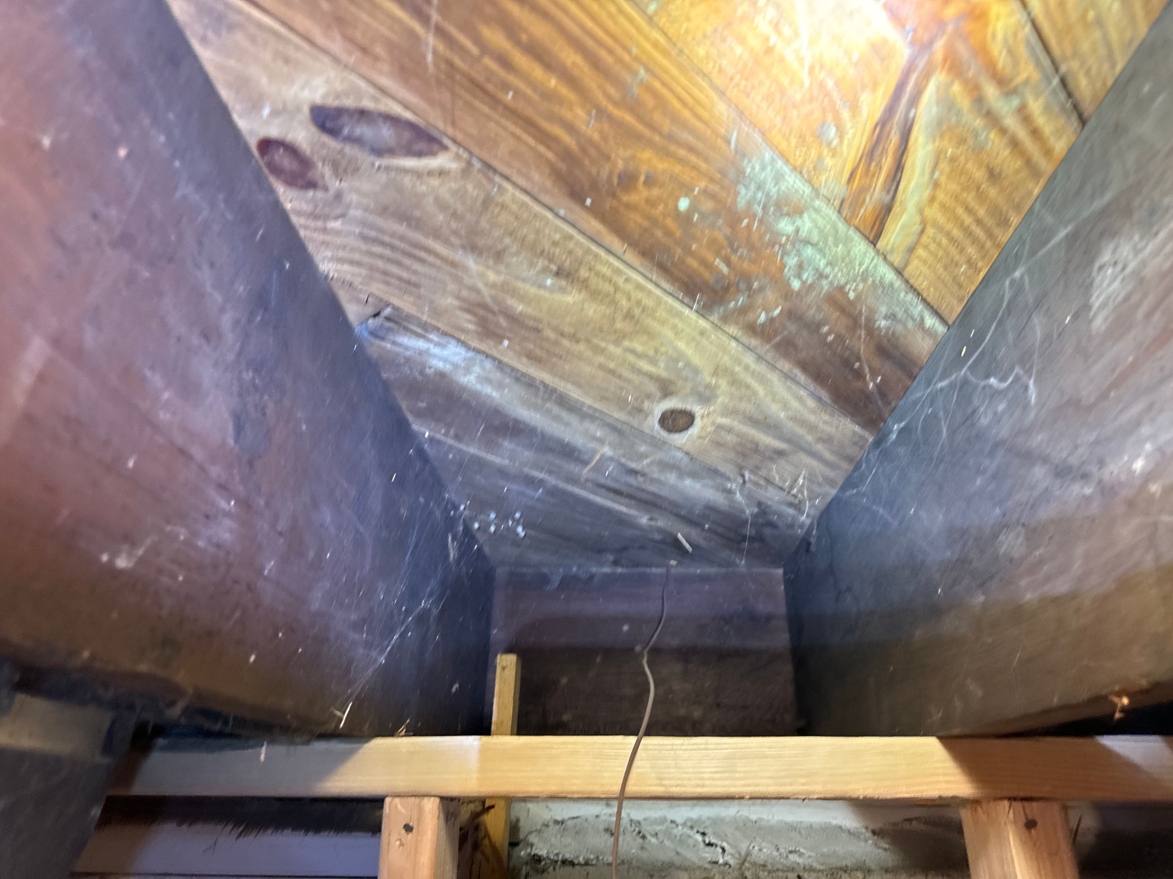 Interior French Drain & Mold Remediation Little Falls NJ by Pure Service Pro, LLC 