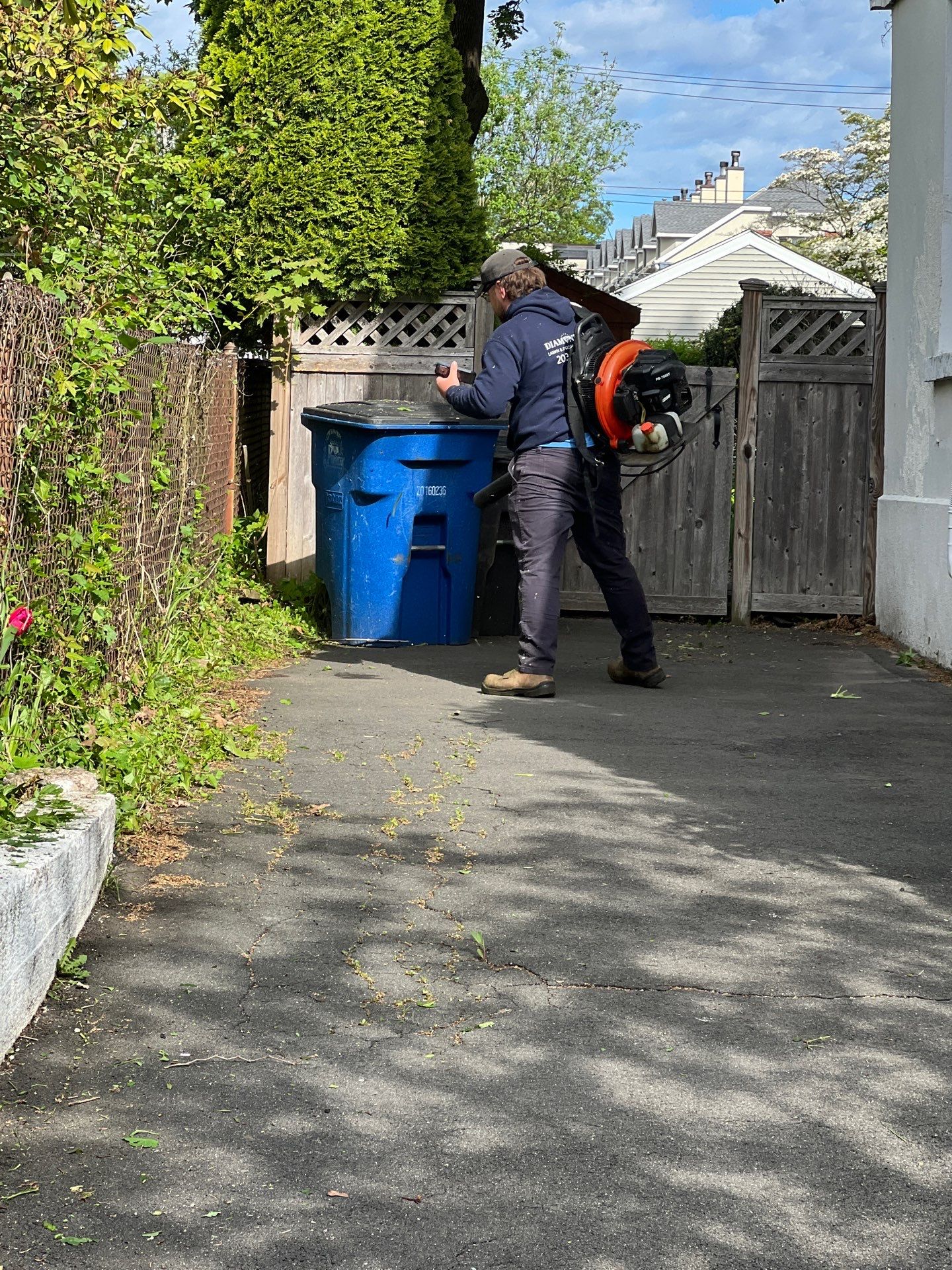 Comprehensive Lawn Care and Hedge Trimming in New Haven by Diamond Image LLC