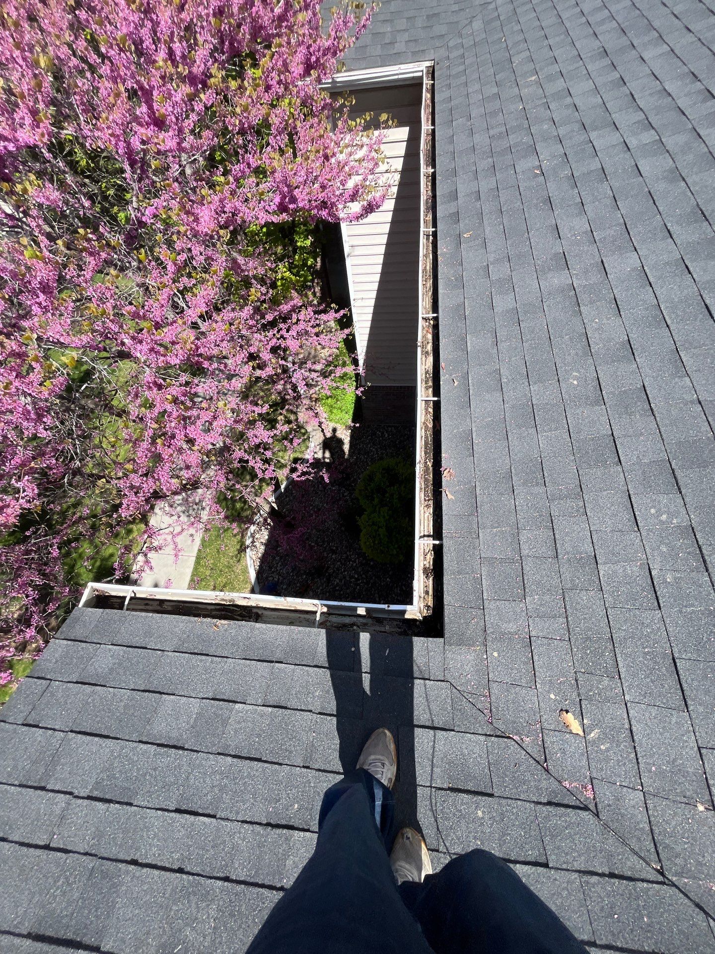 Commercial gutter cleaning Ogden, UT after photo with clean gutters