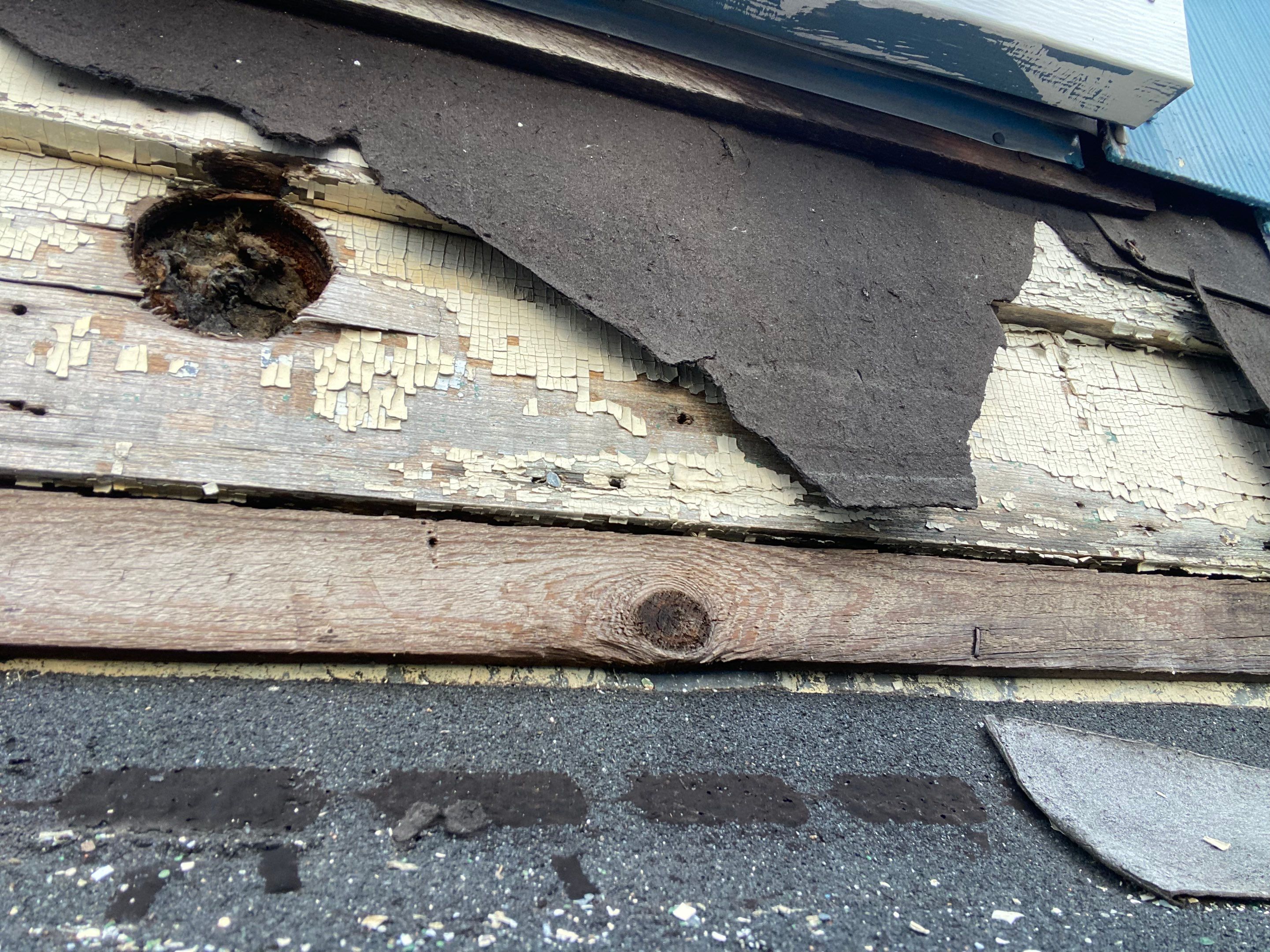 Asphalt & Flat roofing | Haverhill by Mighty Dog Roofing of Greater Middlesex County