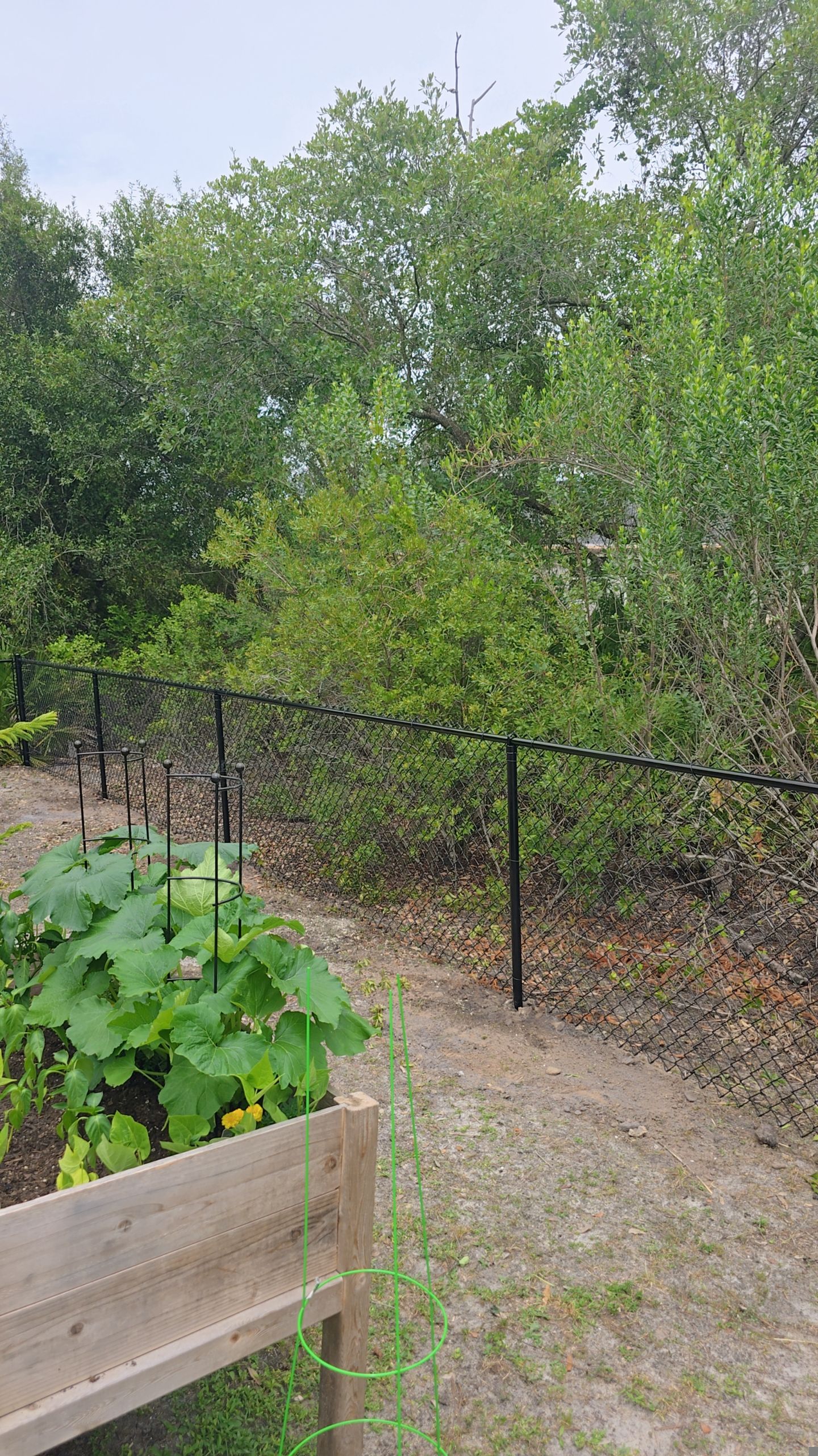 Residential Black Chain-Link Fence Installation in North Port by True Fence LLC