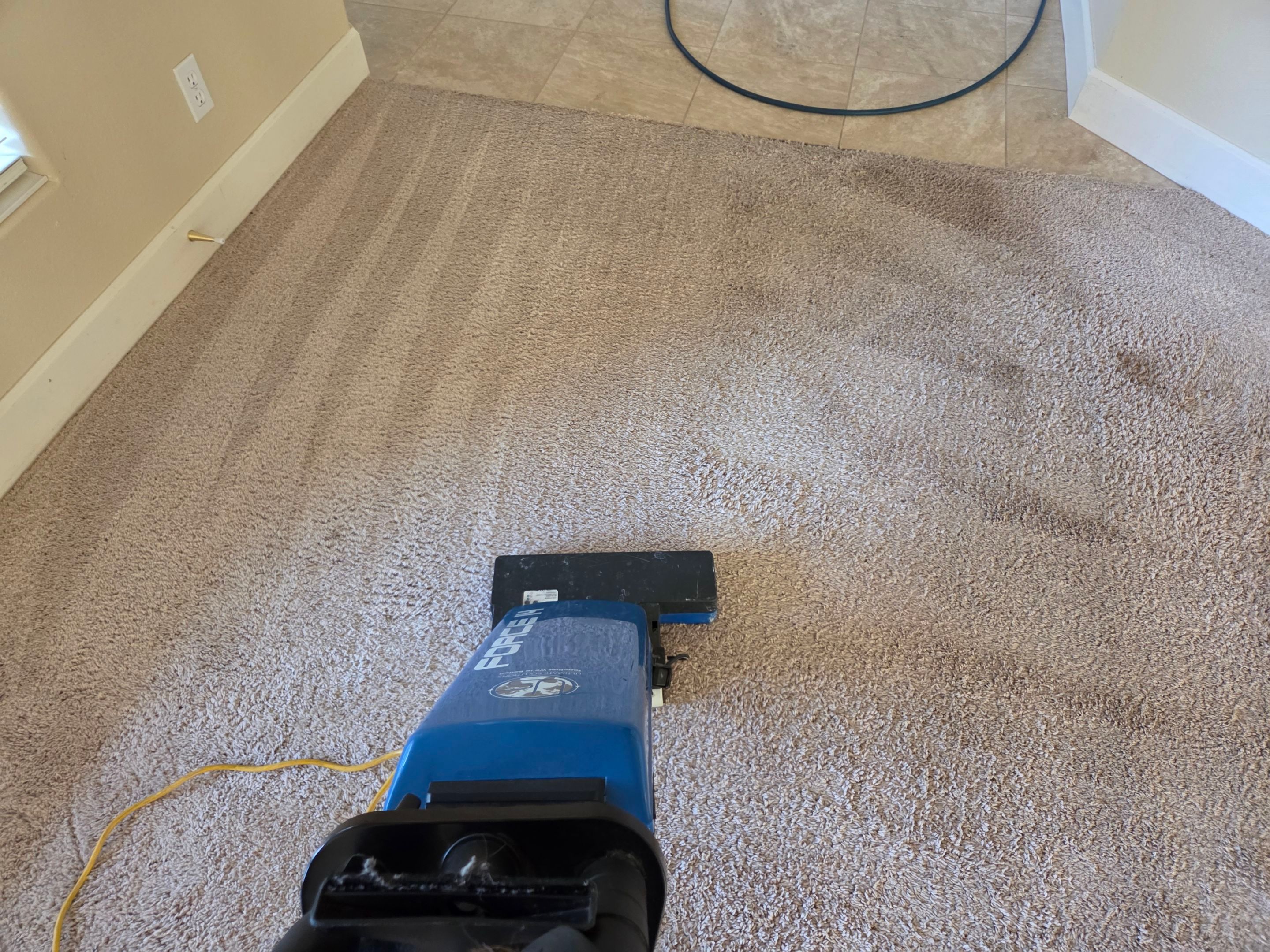 Carpet Cleaning and Stain Removal in Shingle Springs by Ardent Carpet Restore LLC