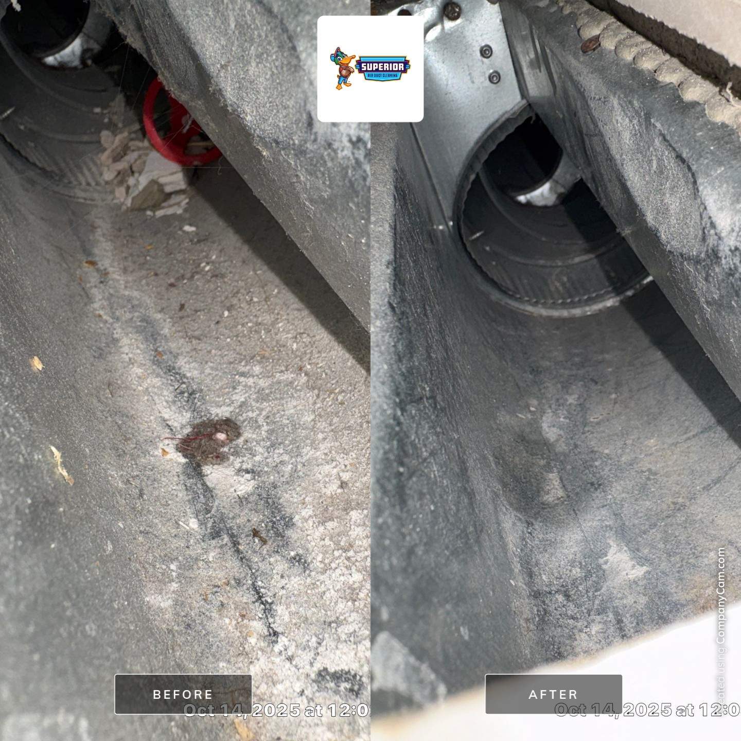 Air Duct & Dryer Vent Cleaning With a Vacuum Truck in Columbiana, OH by Superior Air Duct Cleaning