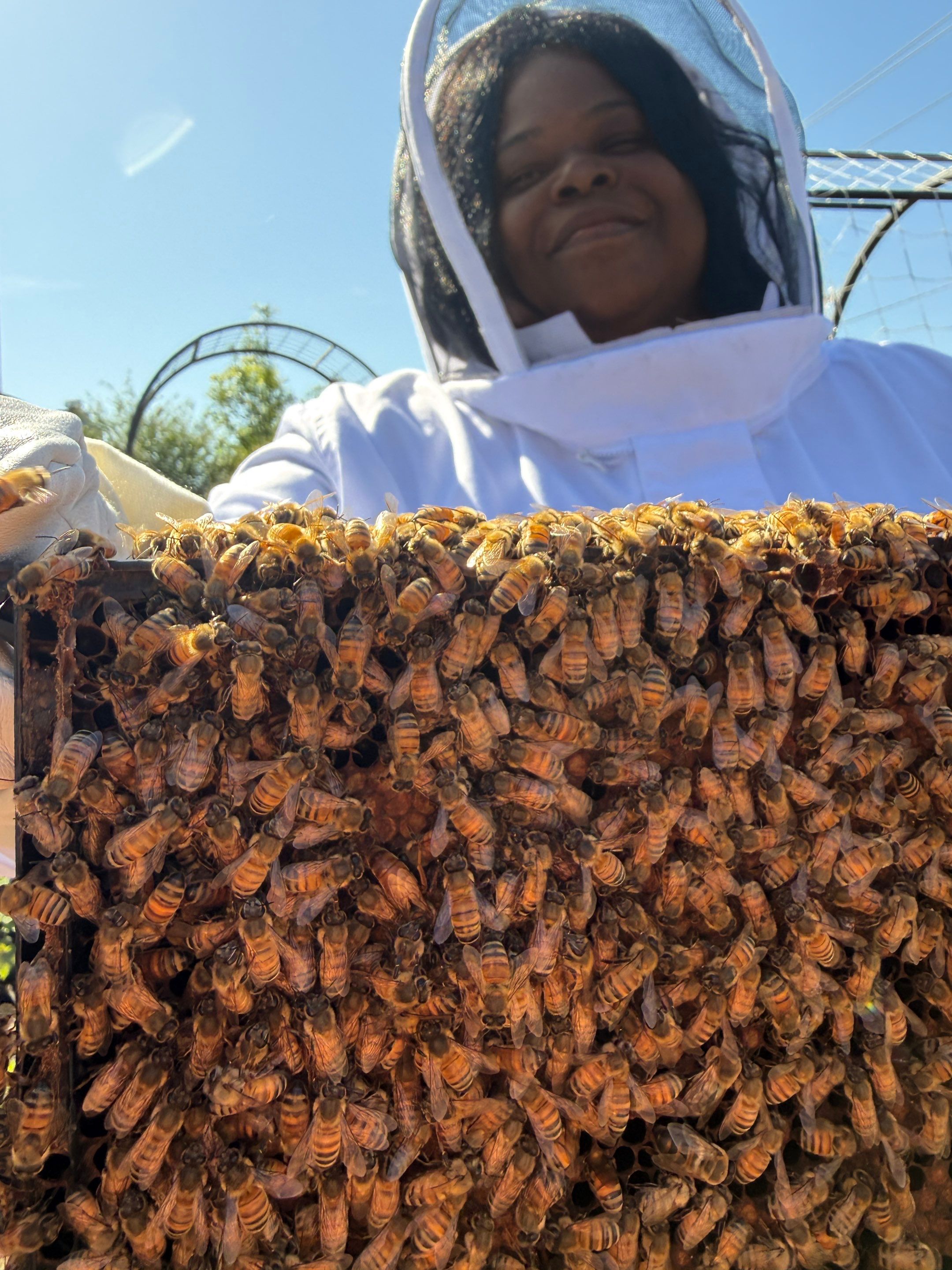 New beekeeper in Rowlett by Rockwall Honey Bee Company