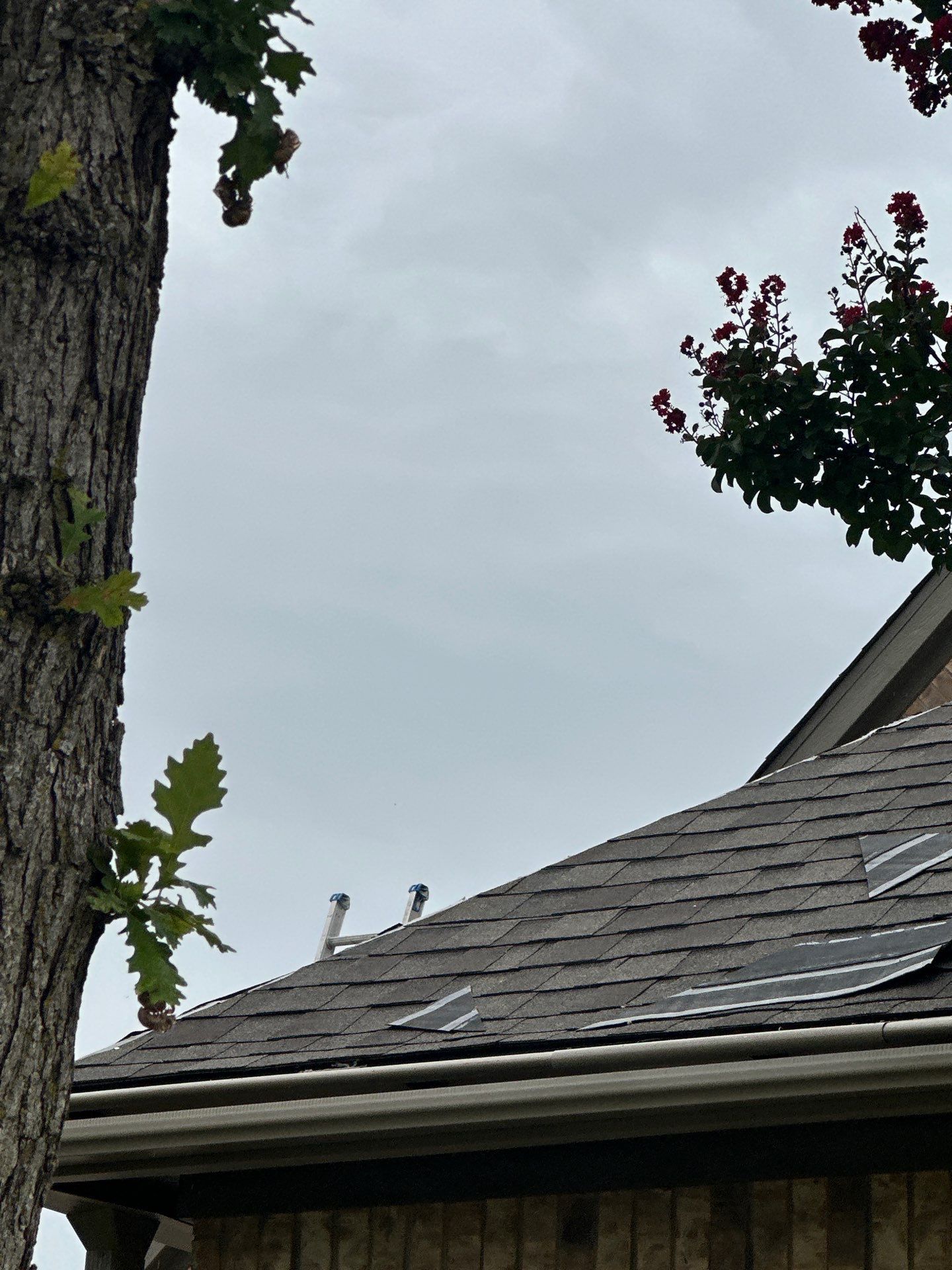 Project in Sachse by Rhino Roofing and General Contracting, LLC