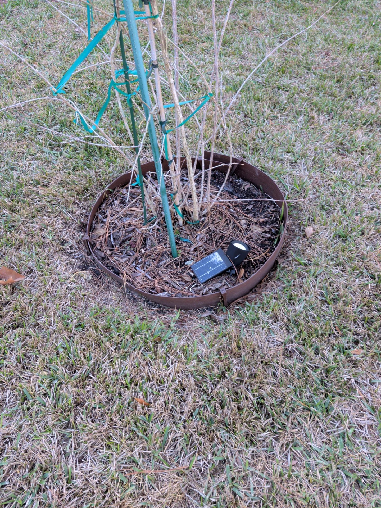 Flower Bed Cleanup & Mulch Preparation — Jacksonville Beach by Harmoni Home Services